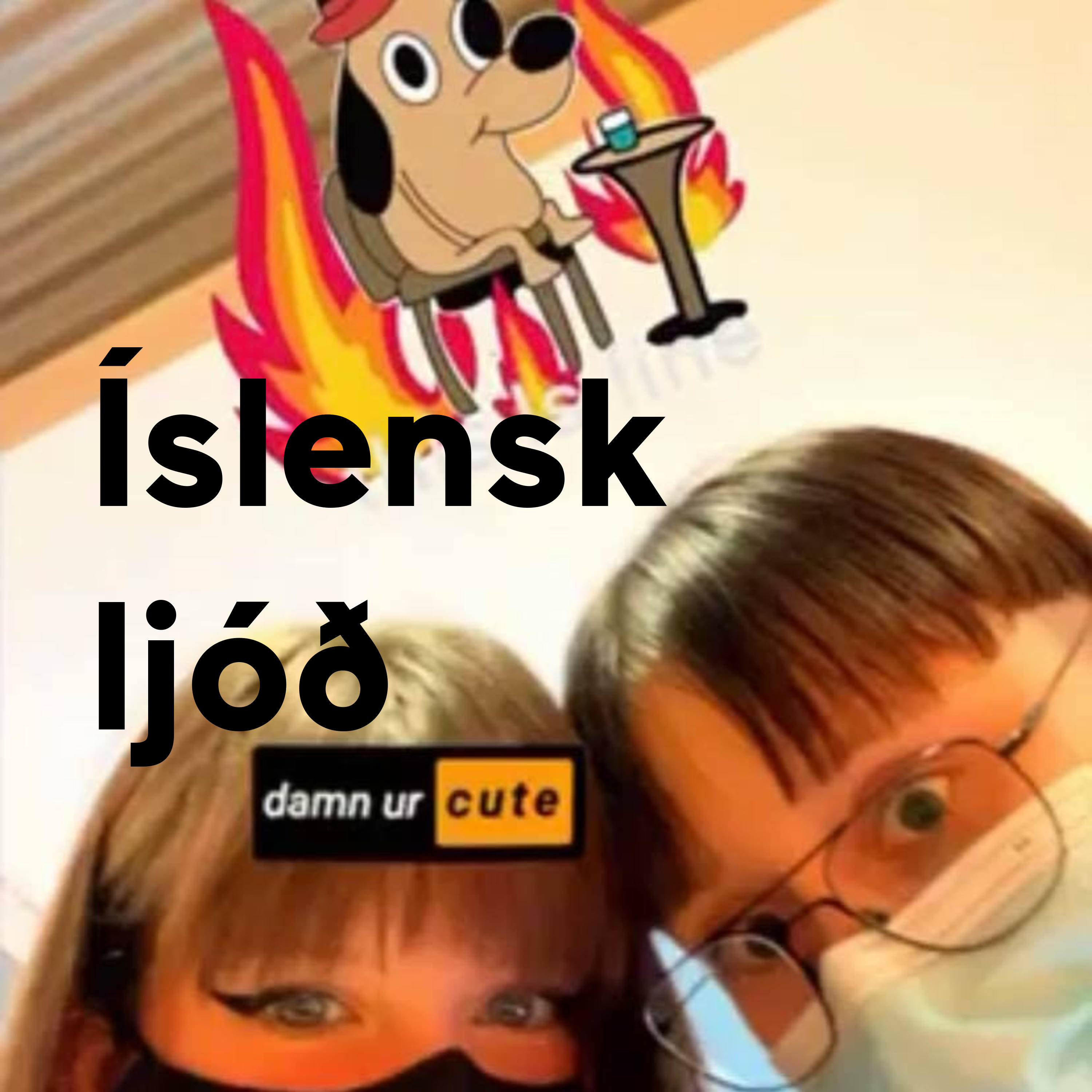 Íslensk ljóð