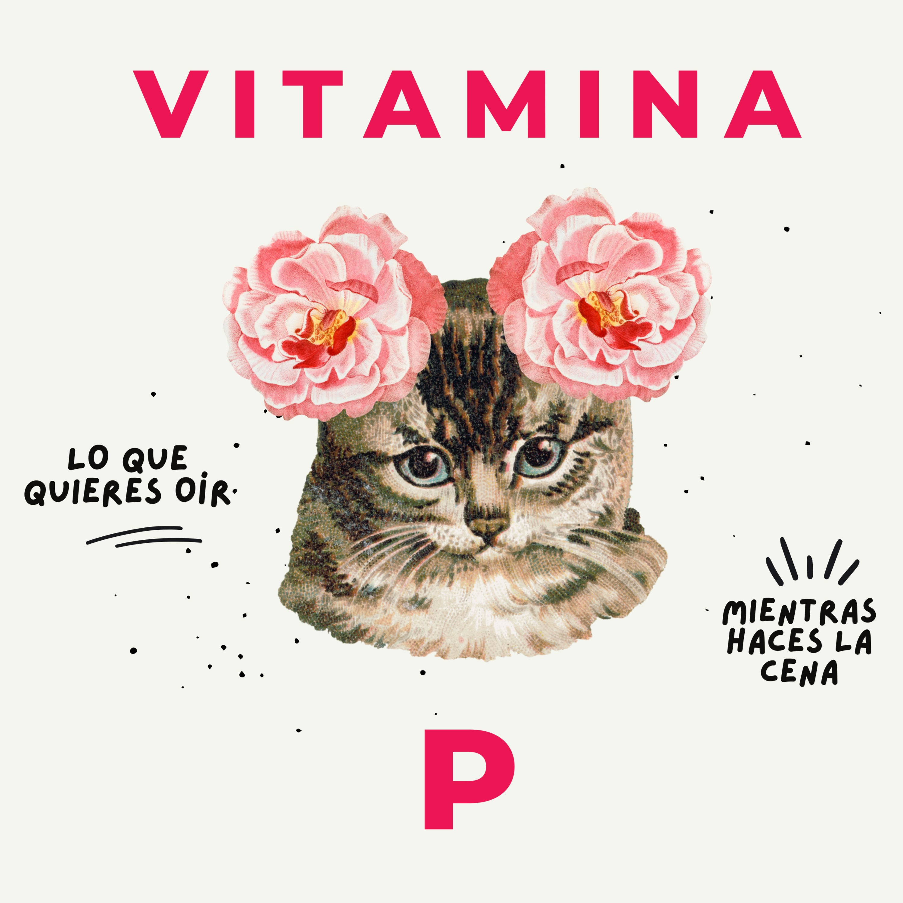Vitamina P - ¡Comenzamos!