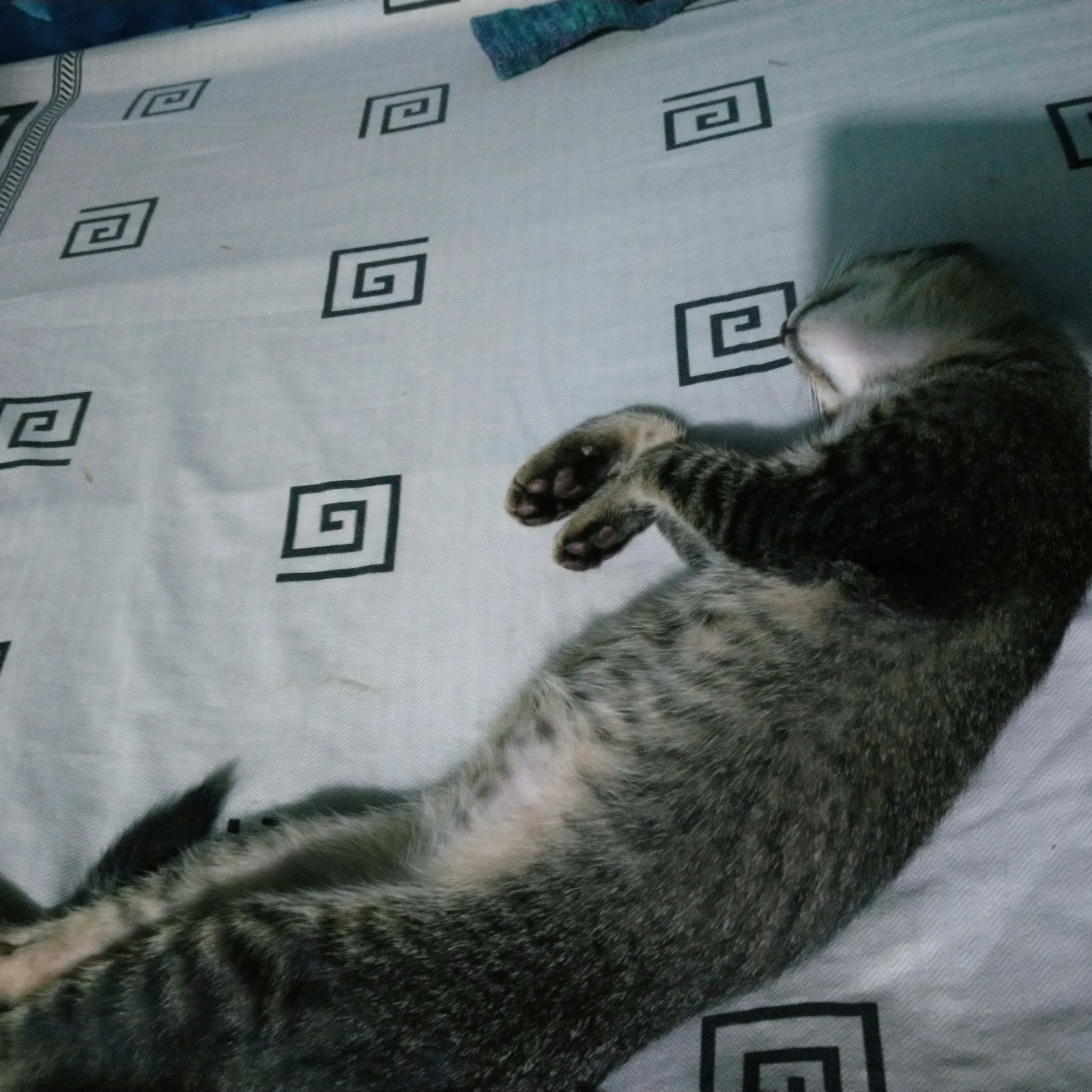 Minyak Samin cover