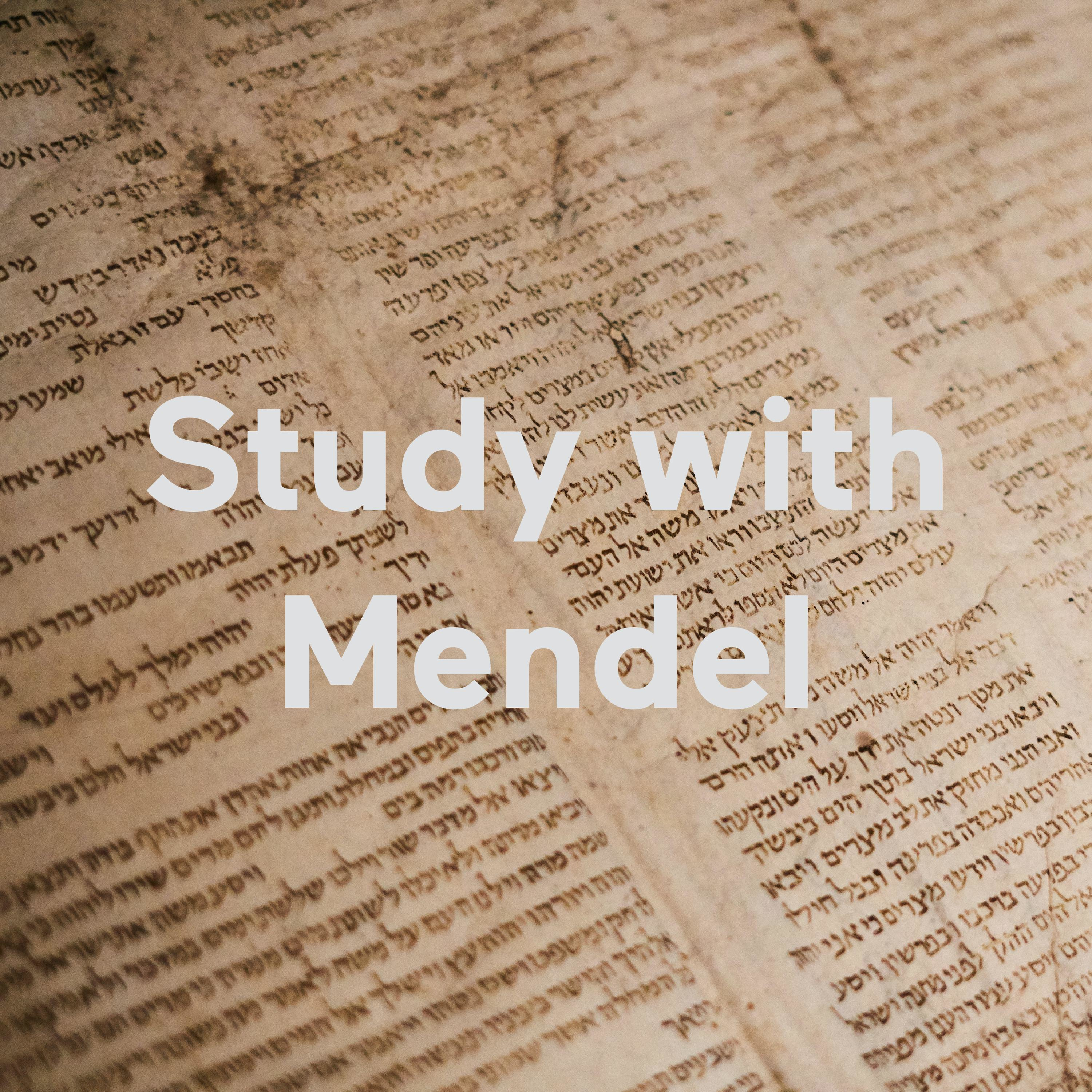 Study with Mendel