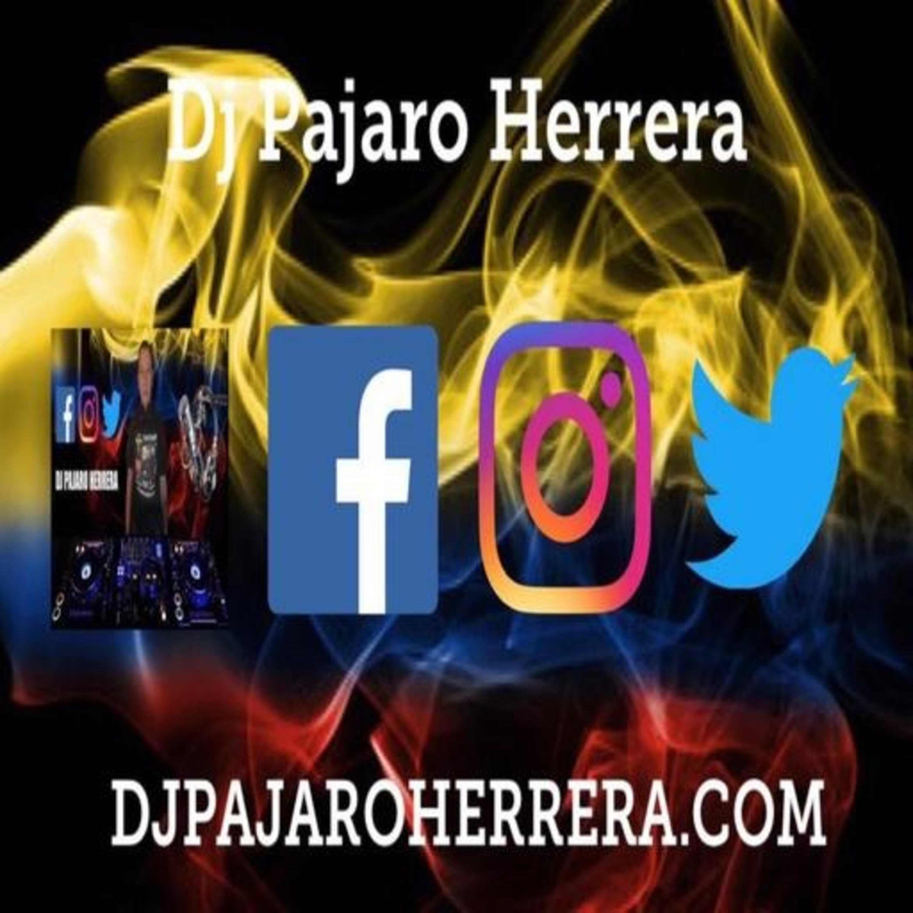 Dj Pajaro Herrera 