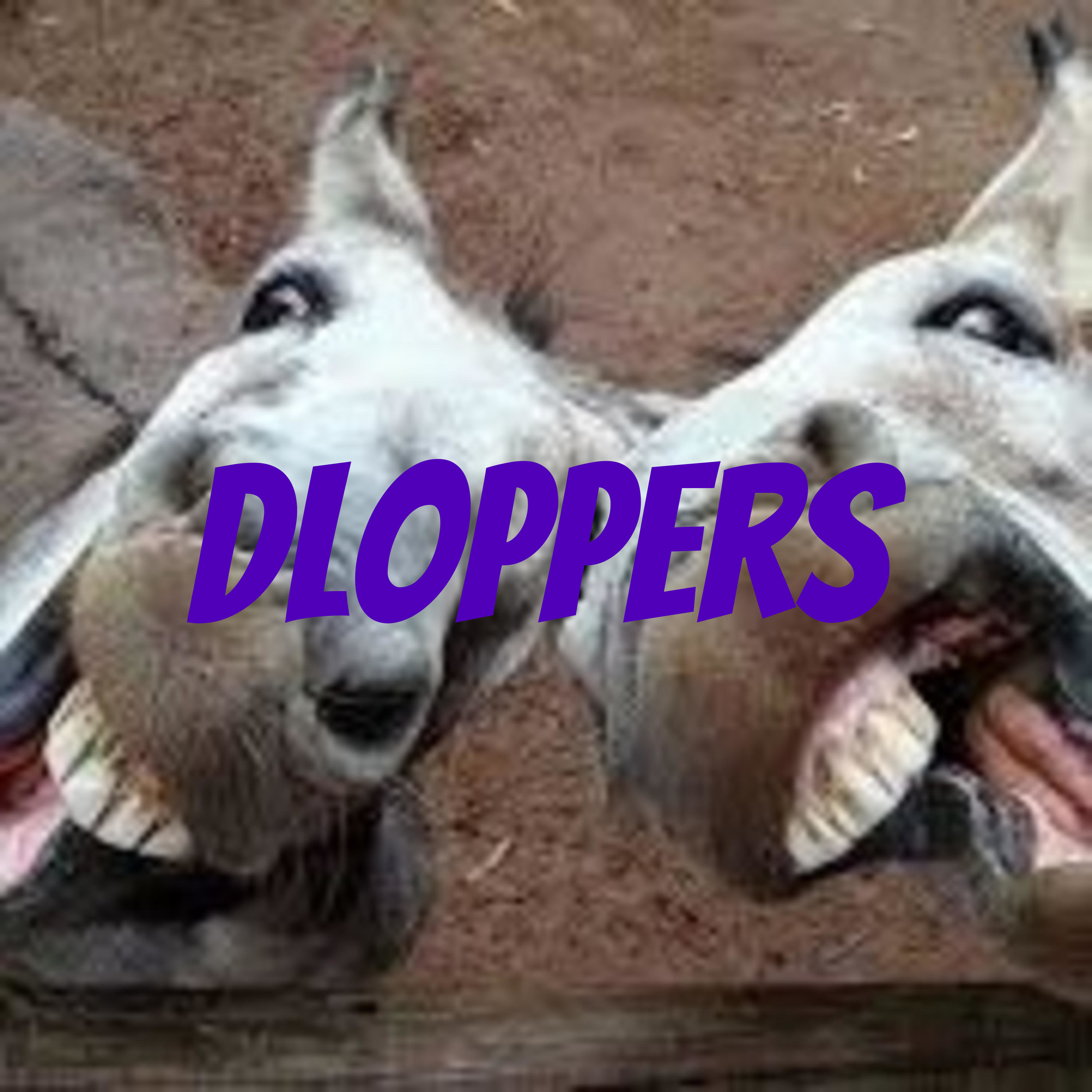 Dloppers