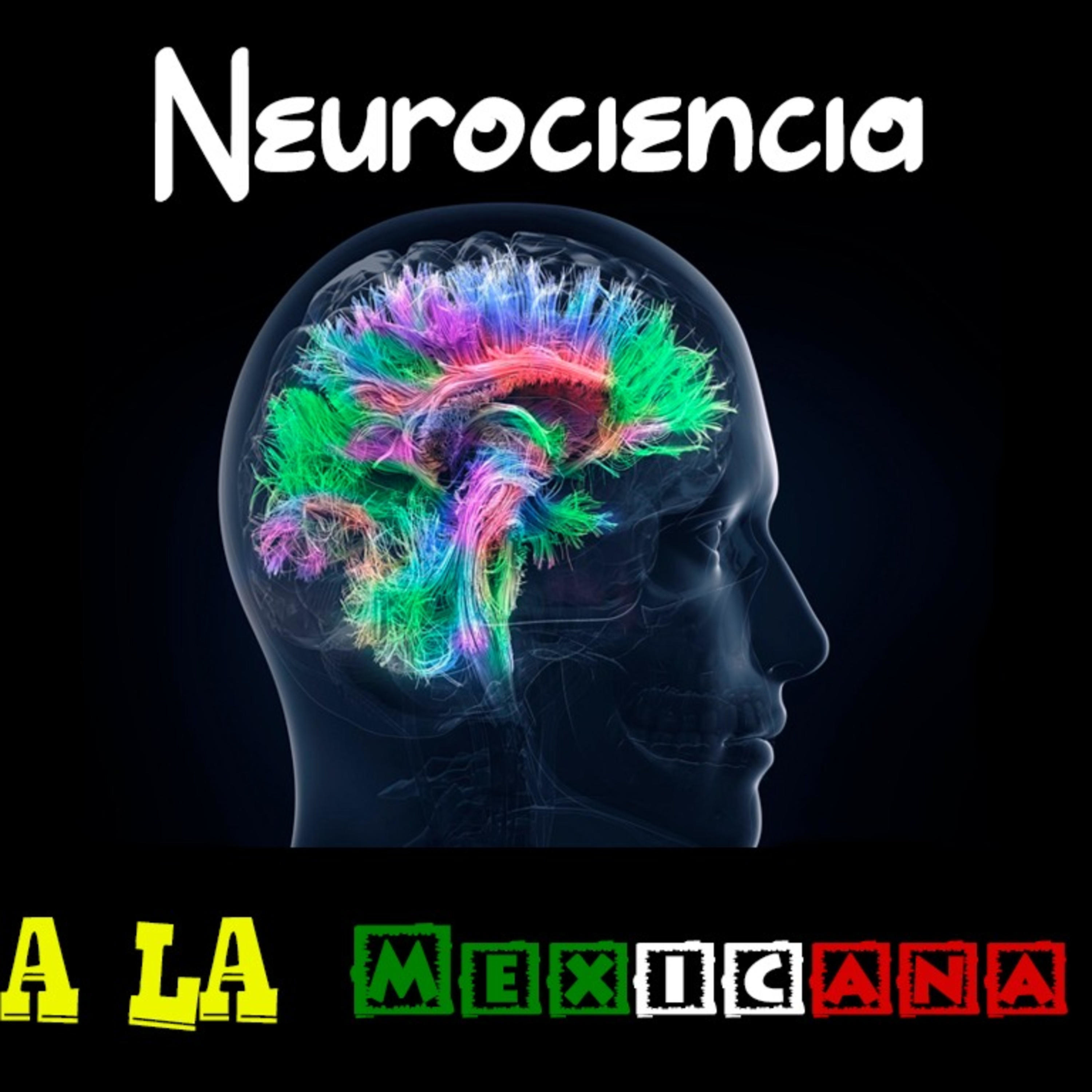 Neurociencia a la mexicana
