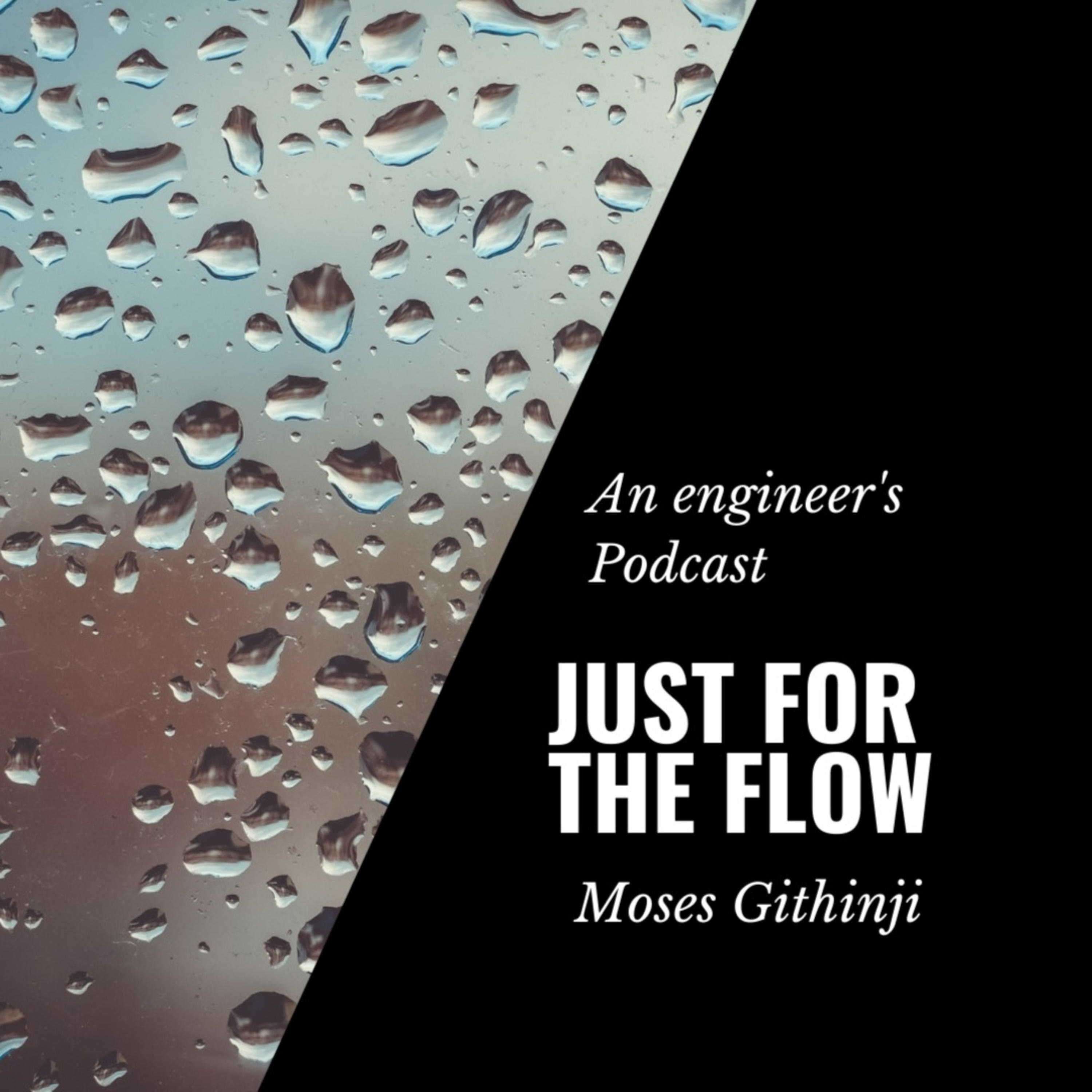 Just For The Flow Engineeringpod