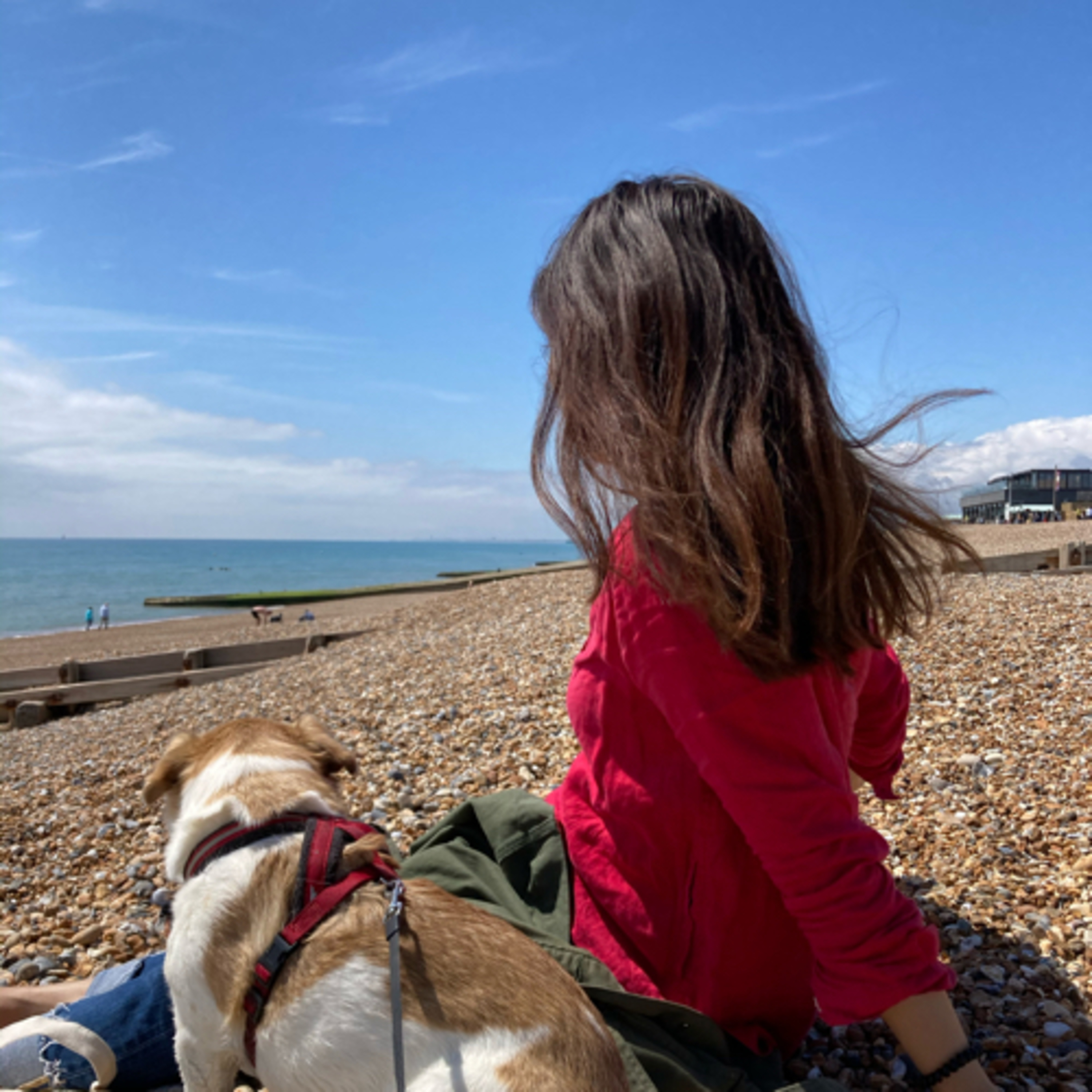 カナエラジオ cover art