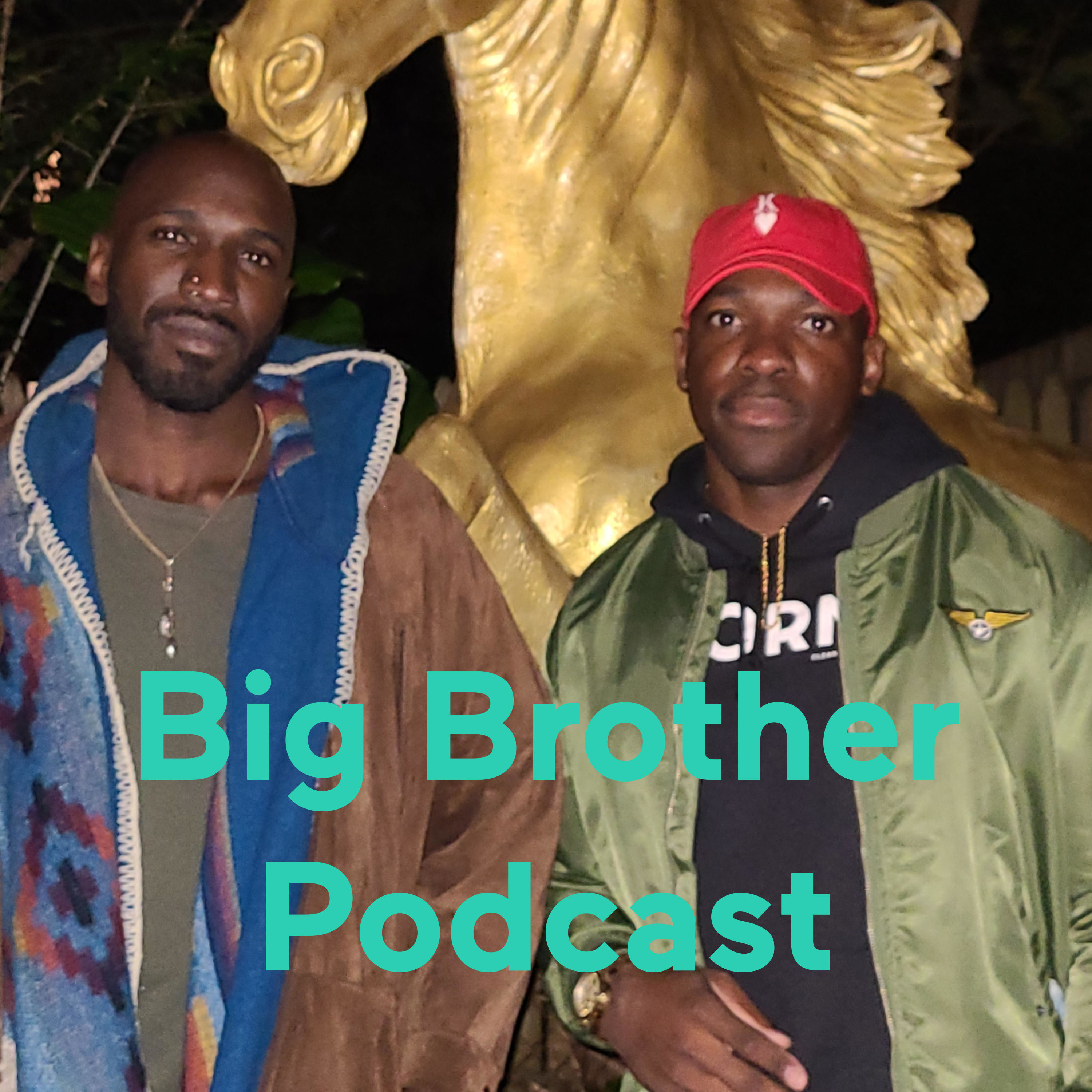 Big Brother Podcast podcast artwork