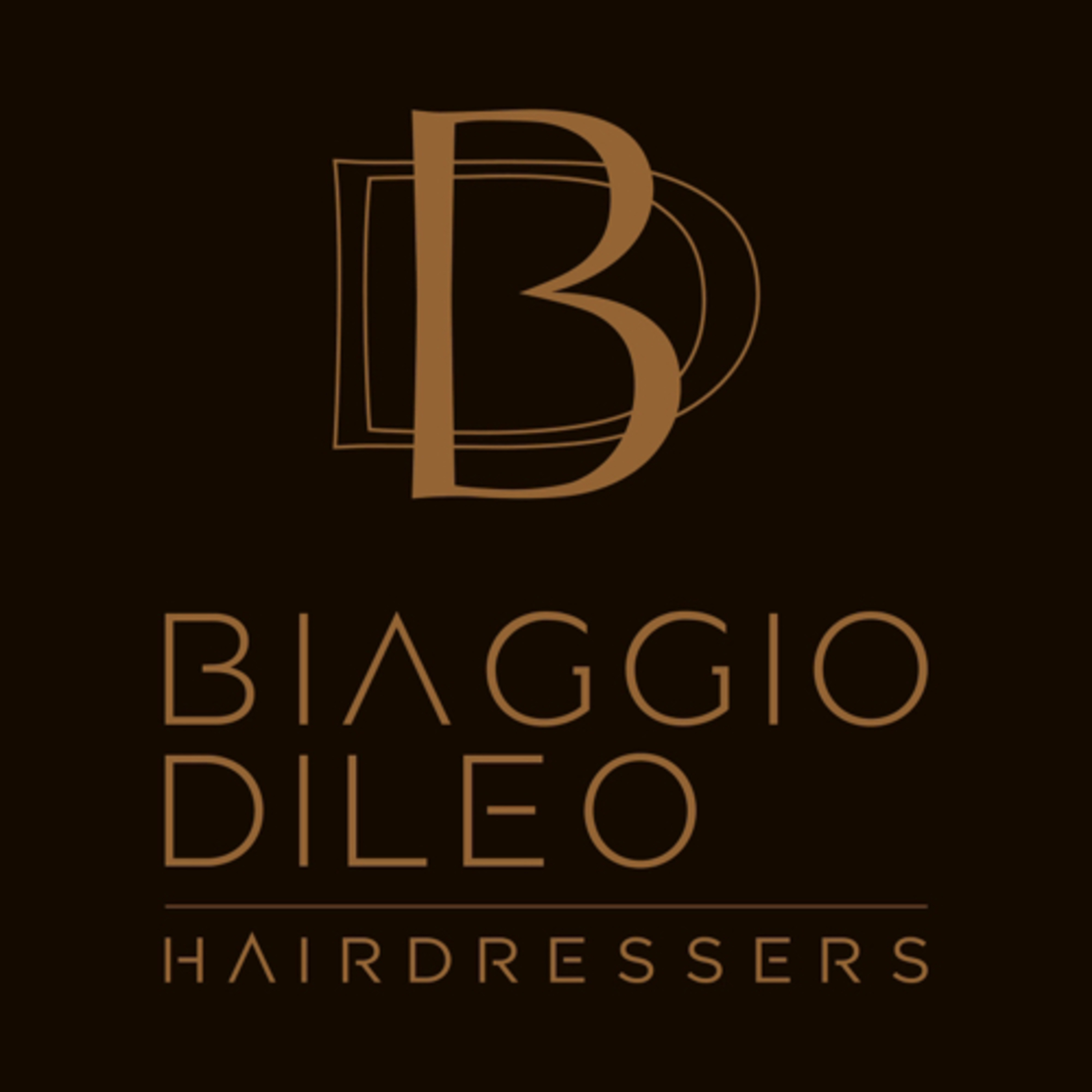 Biaggio Dileo Hairdressers