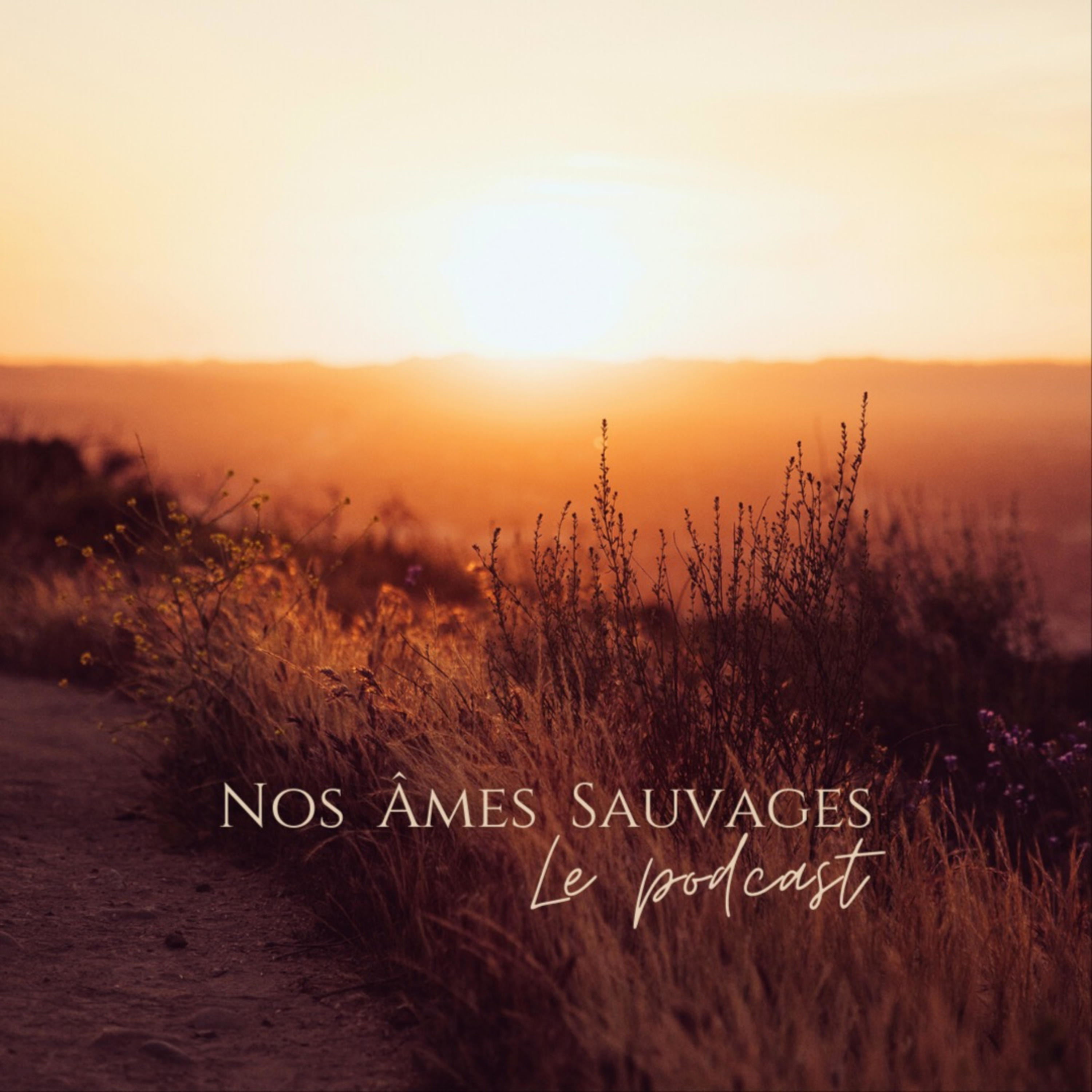 Nos âmes sauvages cover