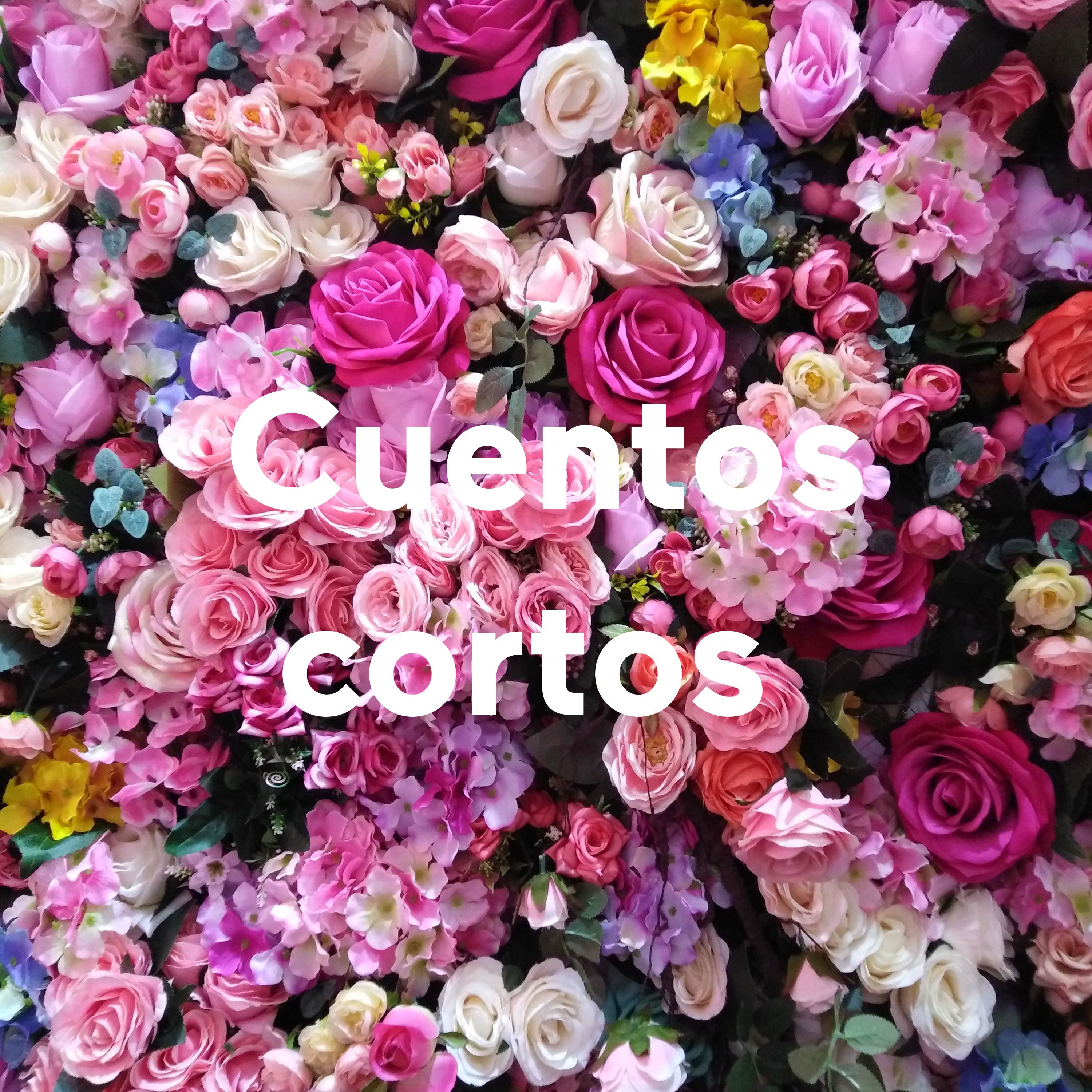 Cuentos cortos 