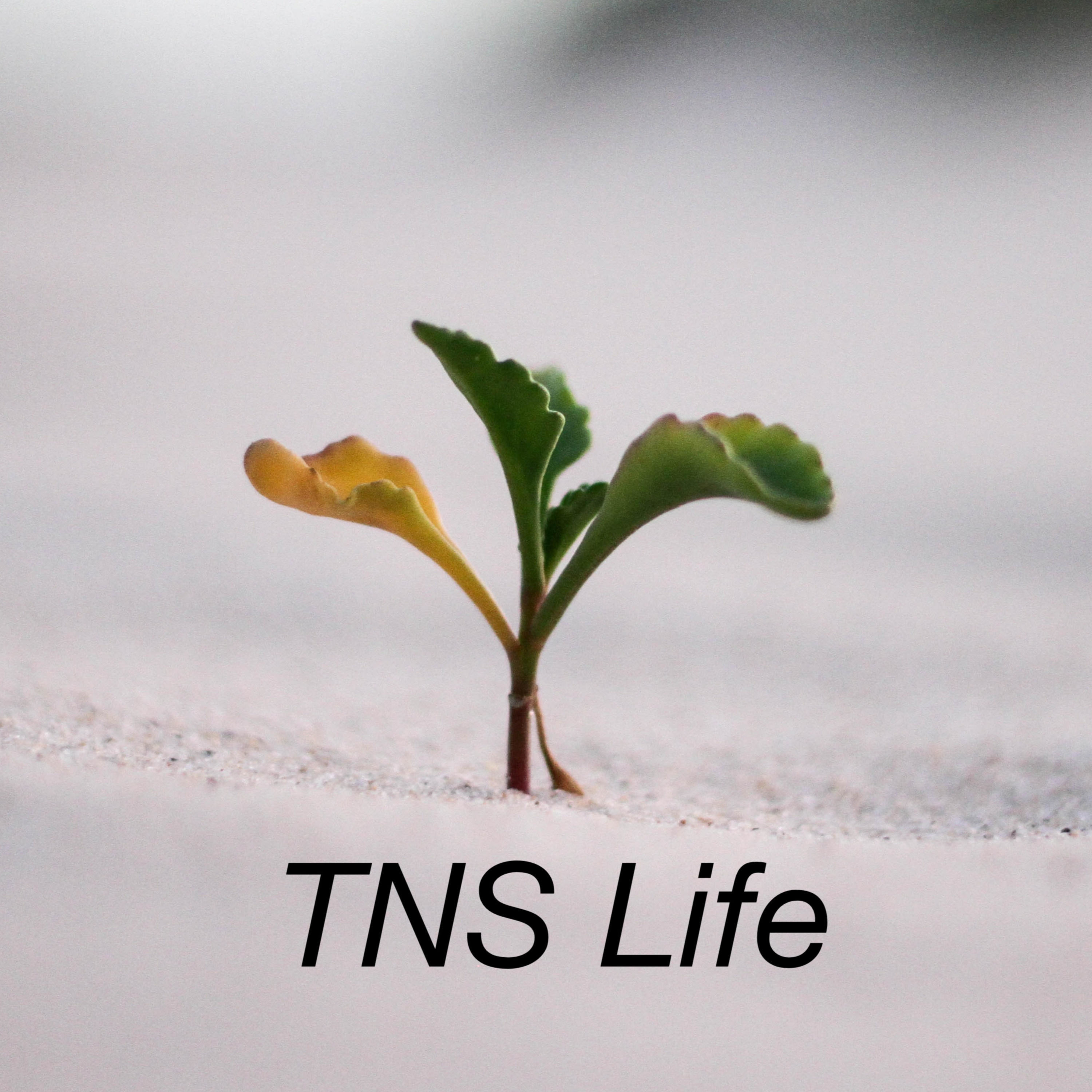 TNS Life