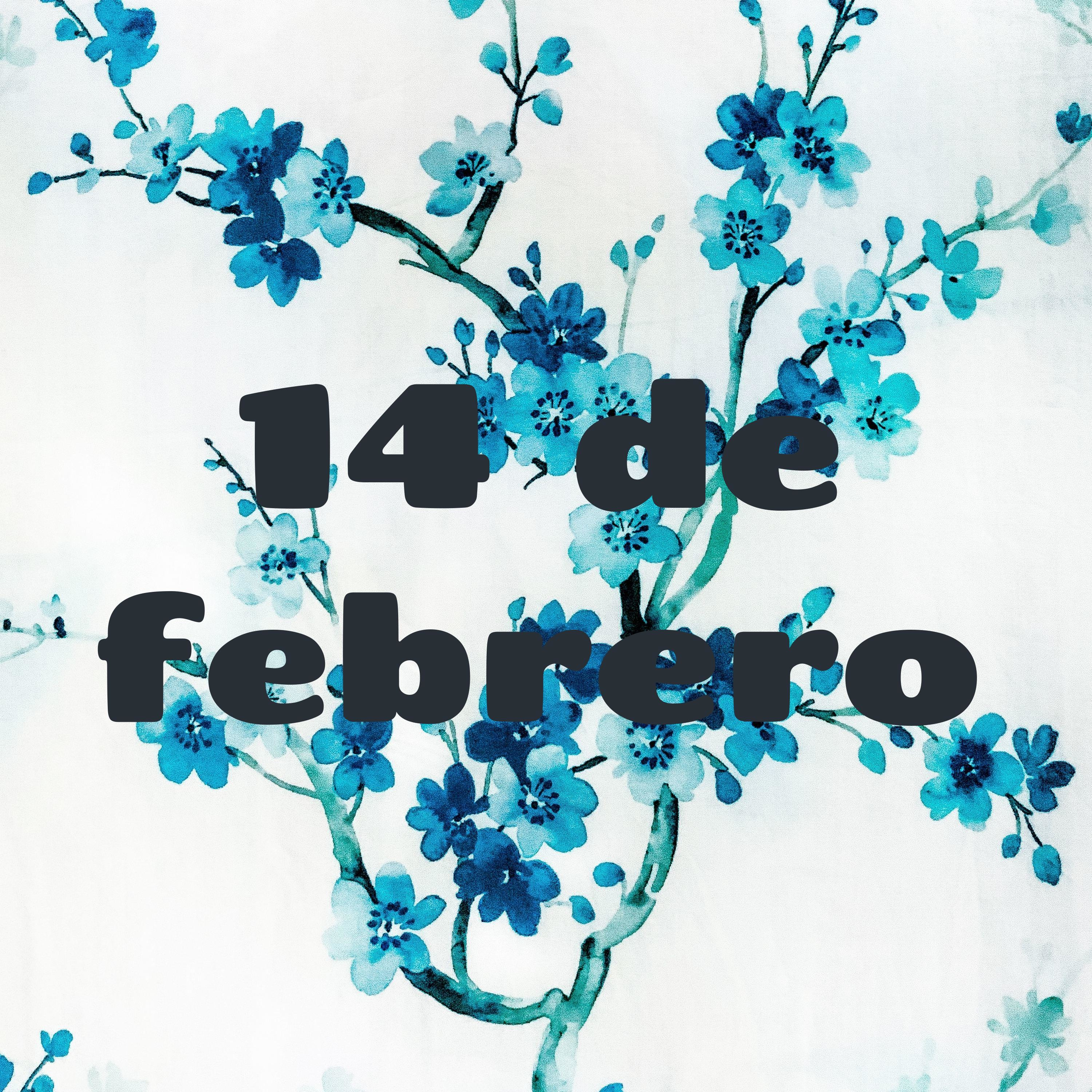 14 de febrero