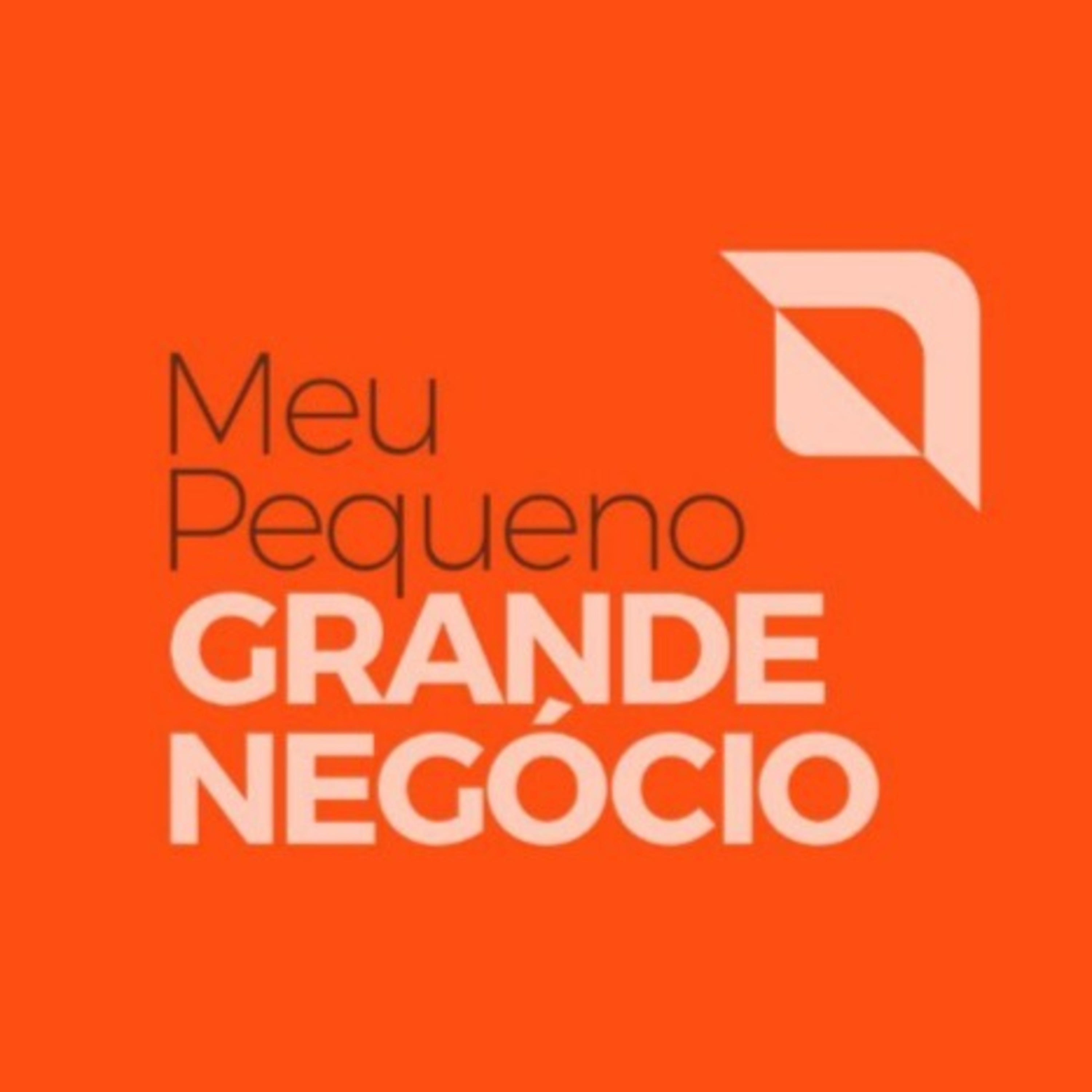 MEU PEQUENO GRANDE NEGÓCIO