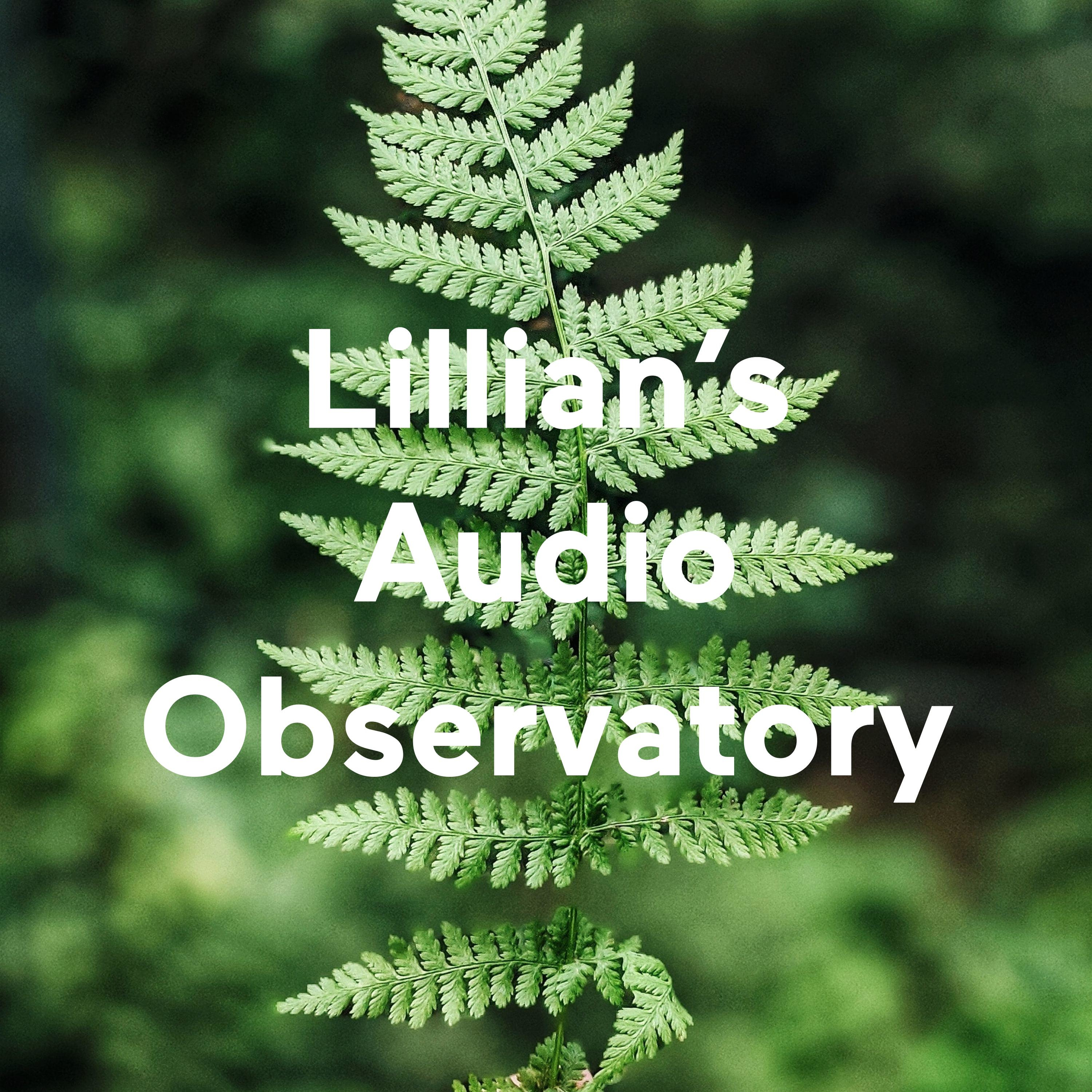 Lillian's Audio Observatory