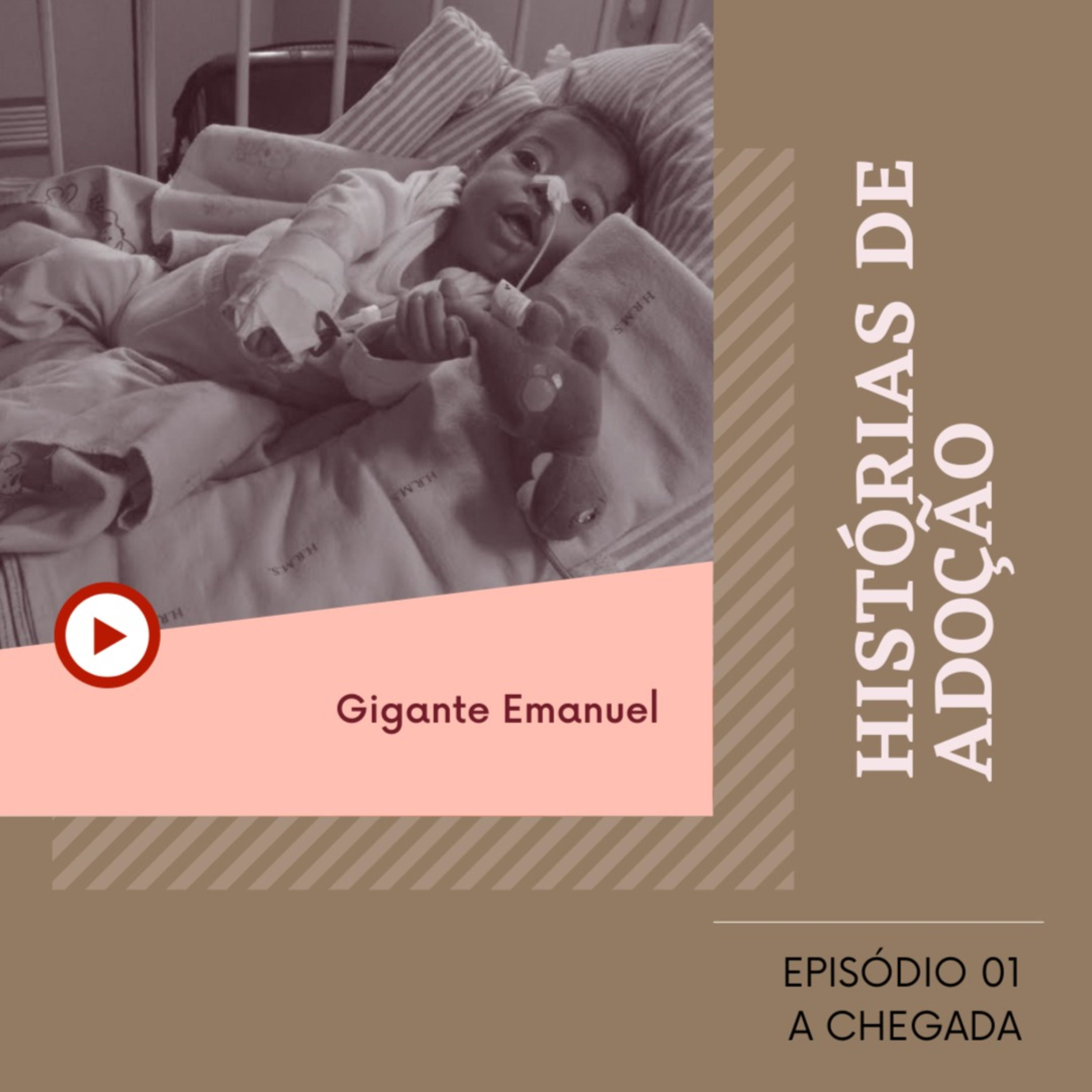 Histórias de Adoção