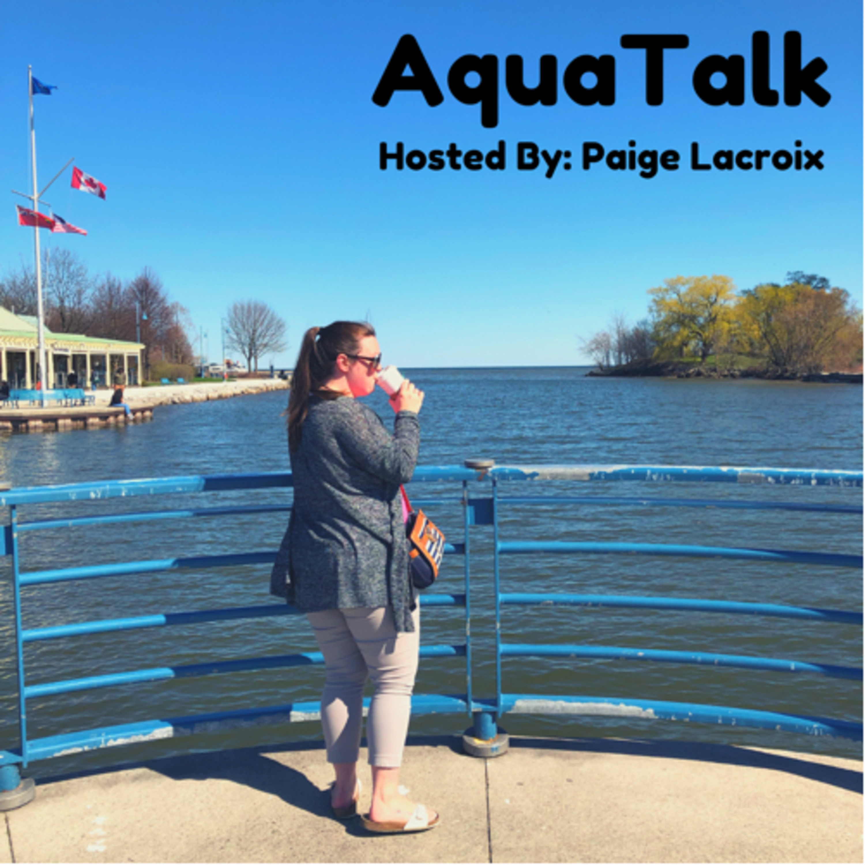 AquaTalk
