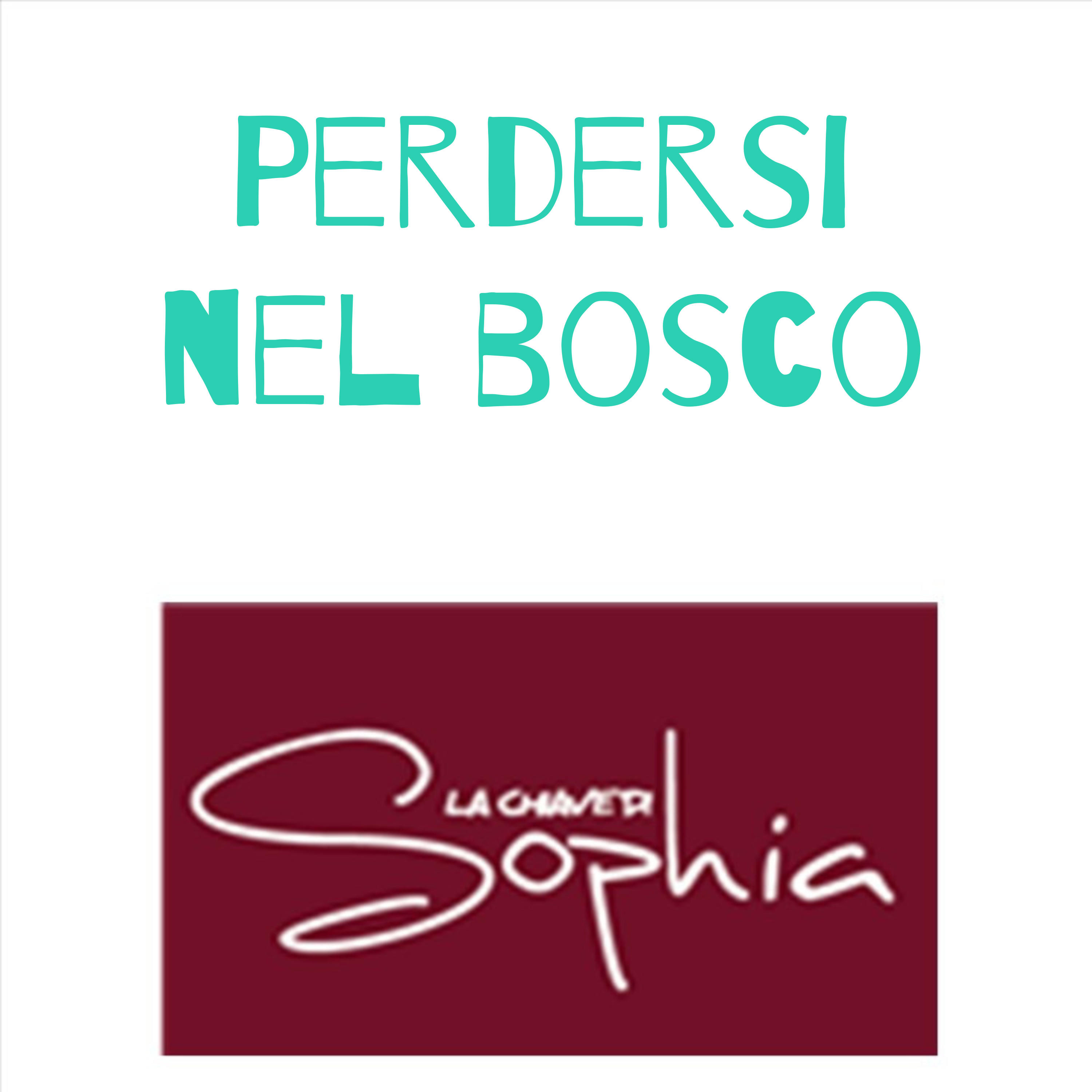 Perdersi nel bosco cover art
