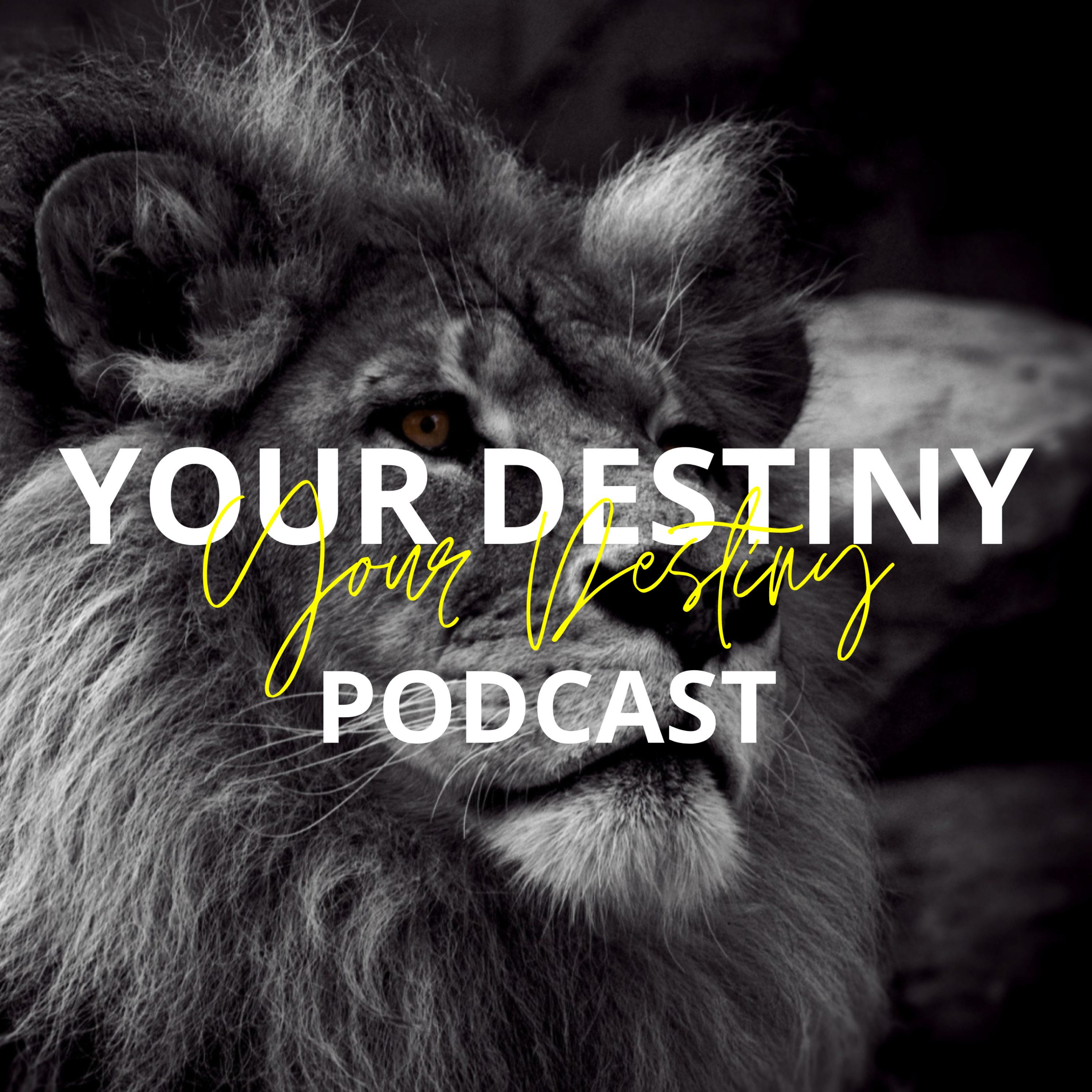 Your Destiny Podcast podcast artwork