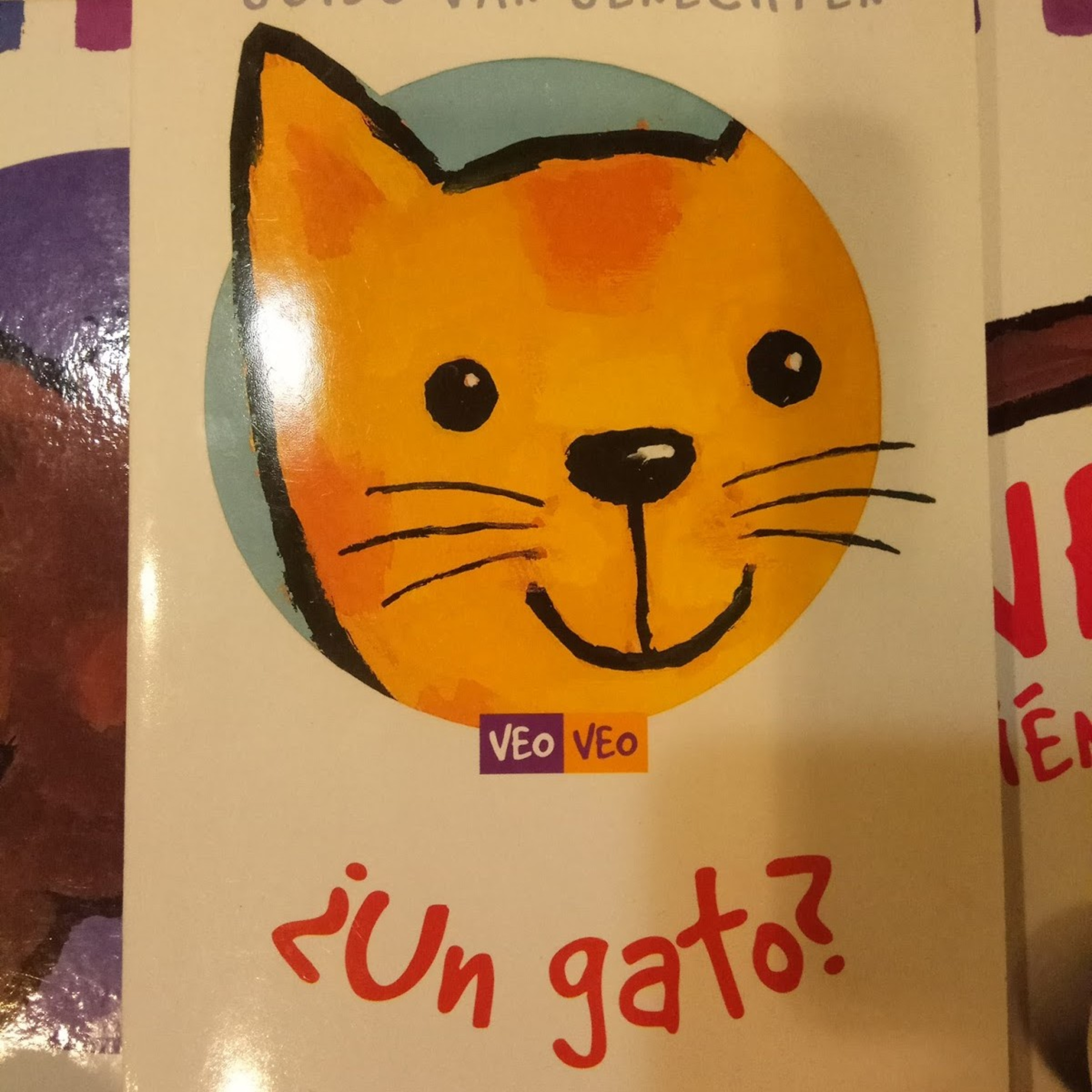 CUENTO INFANTIL VEO VEO UN GATO 