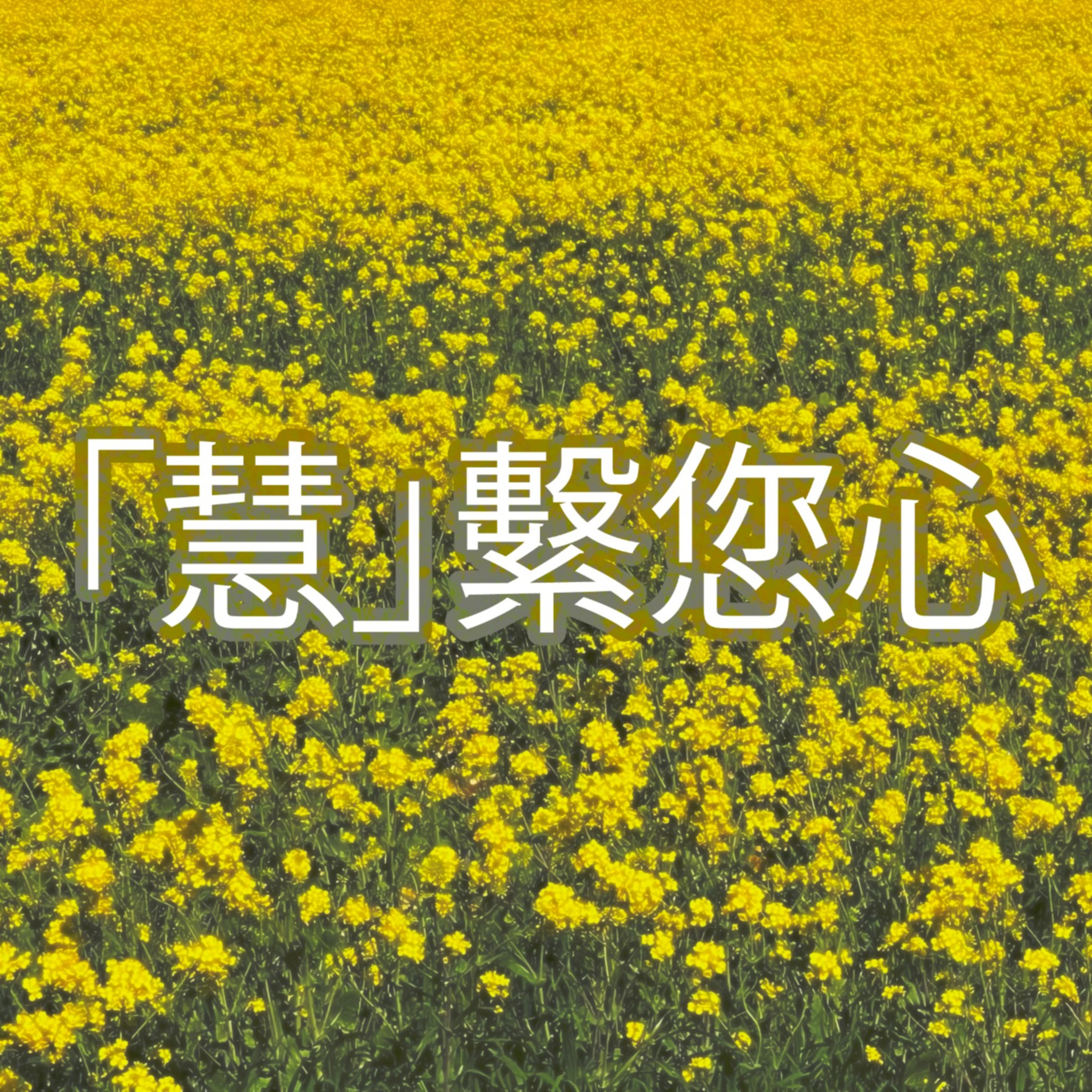 「慧」繫您心