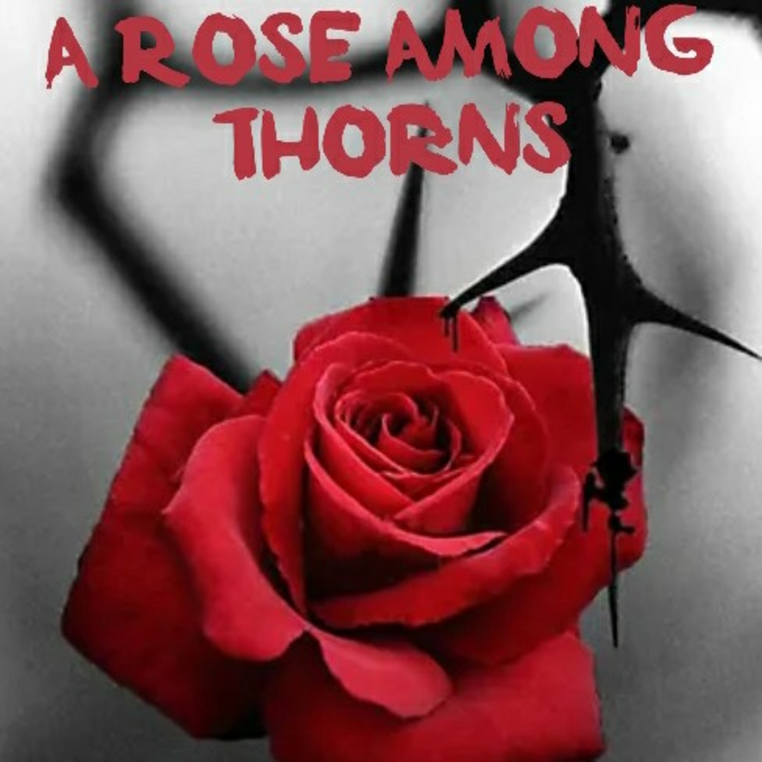 A Rose Among Thorns
