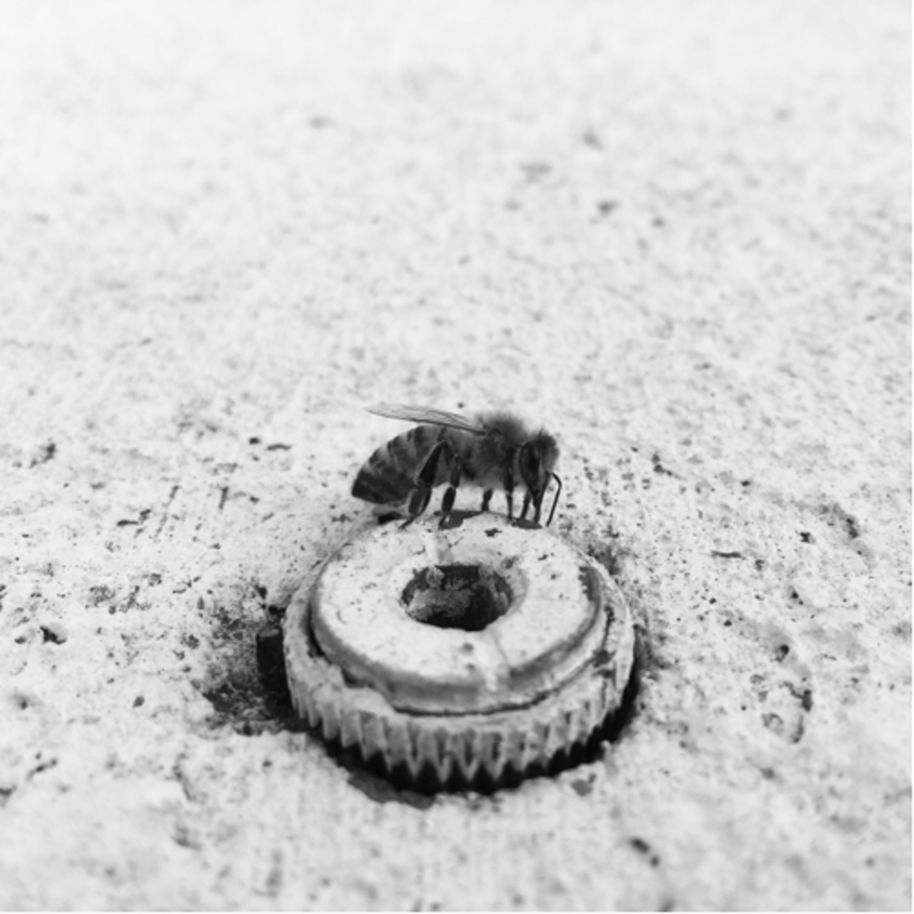 Happy Strong and Healthy