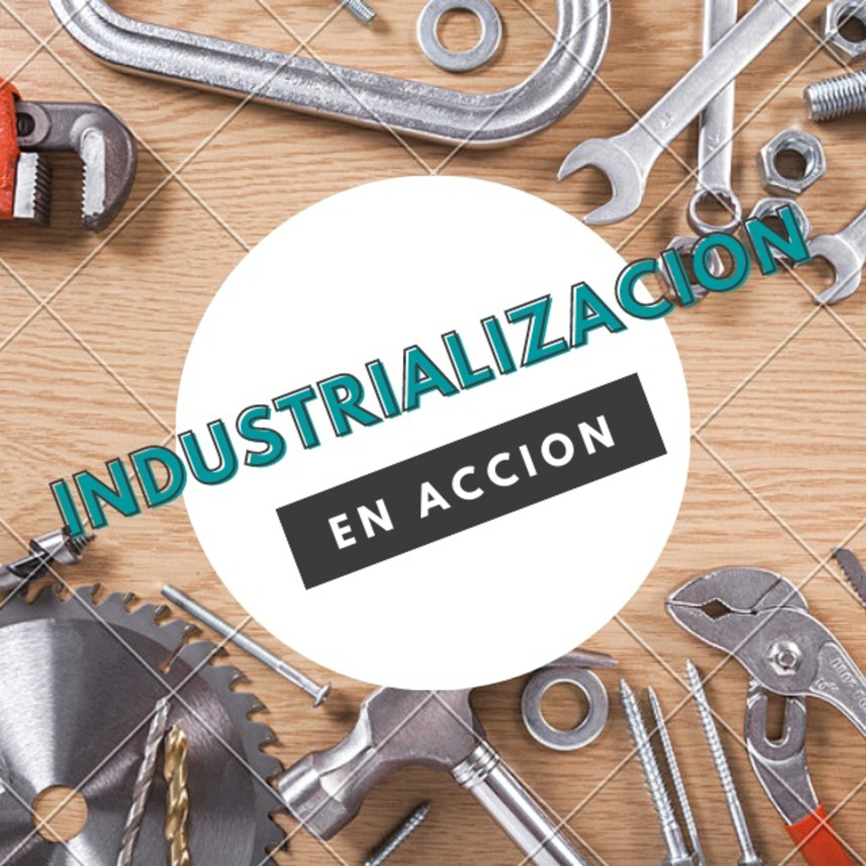 Industrializacion en accion