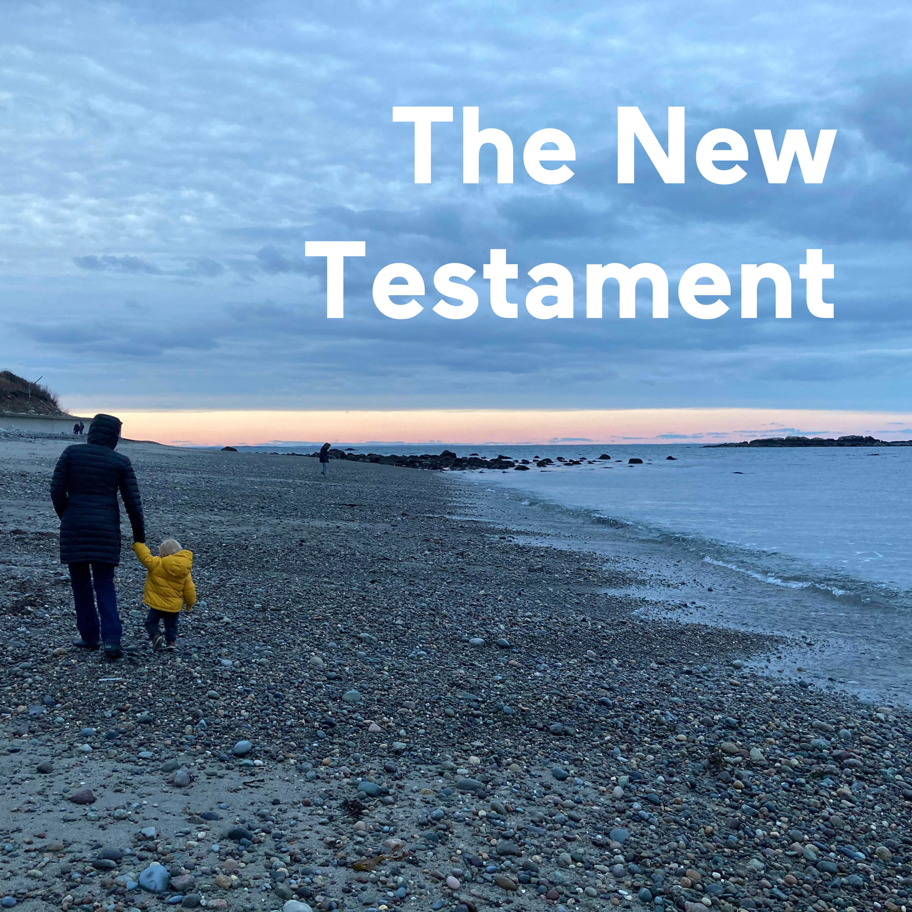 The New Testament, a few minutes a day.