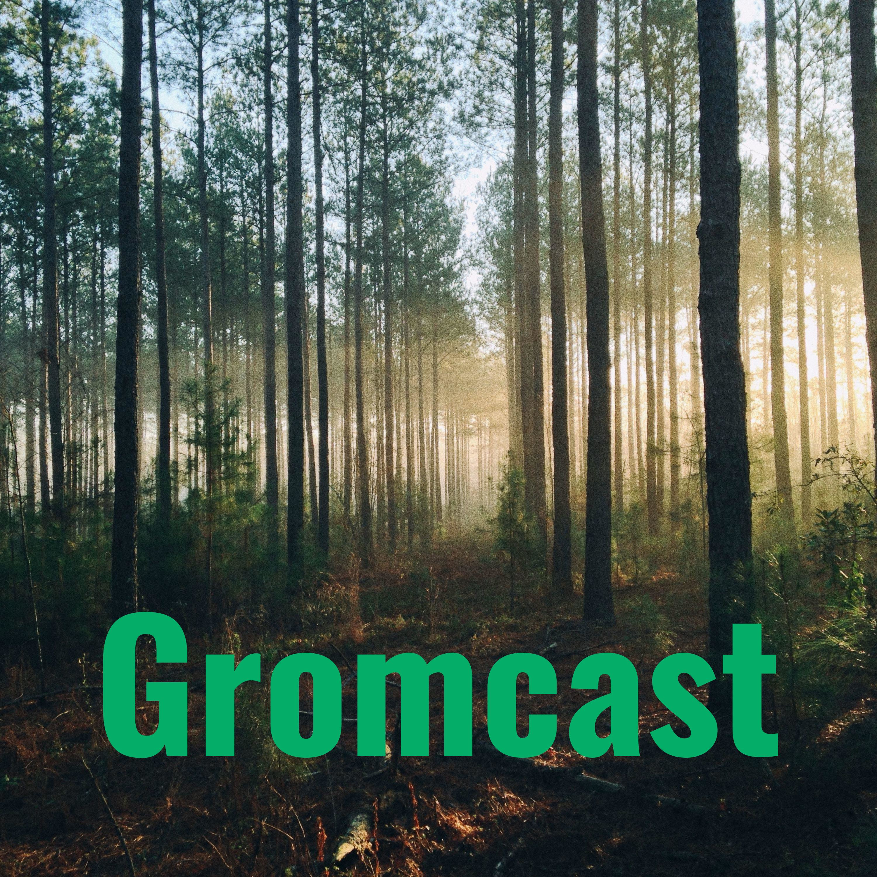 Gromcast