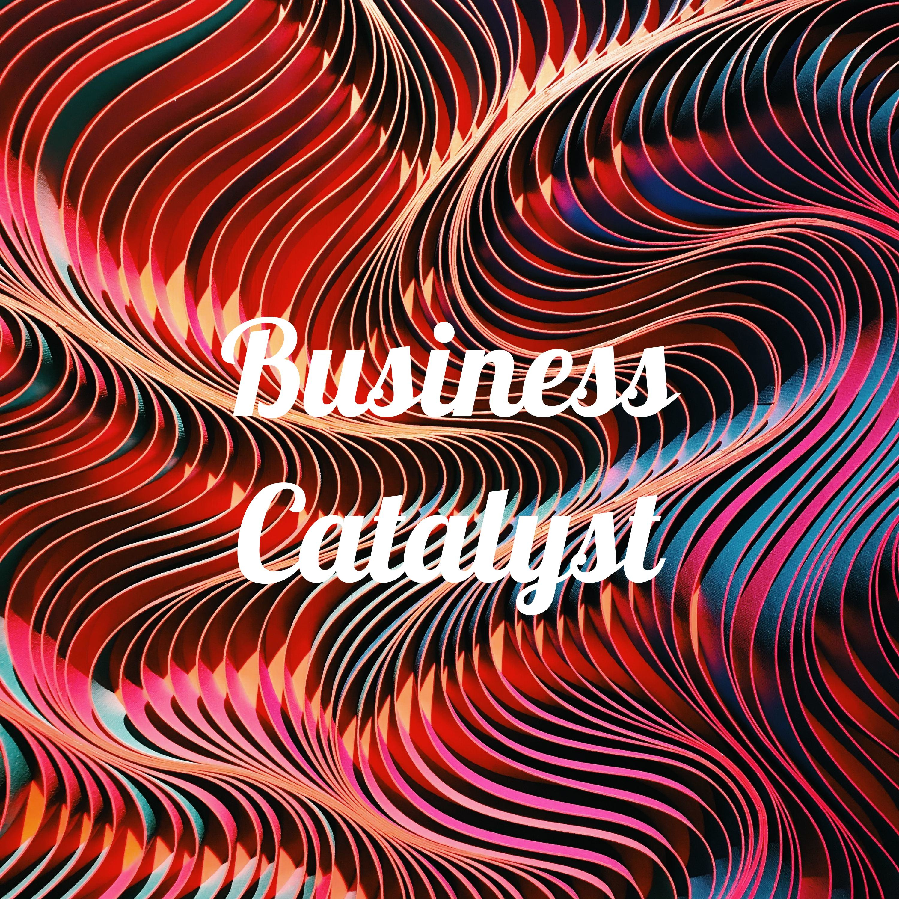 Business Catalyst