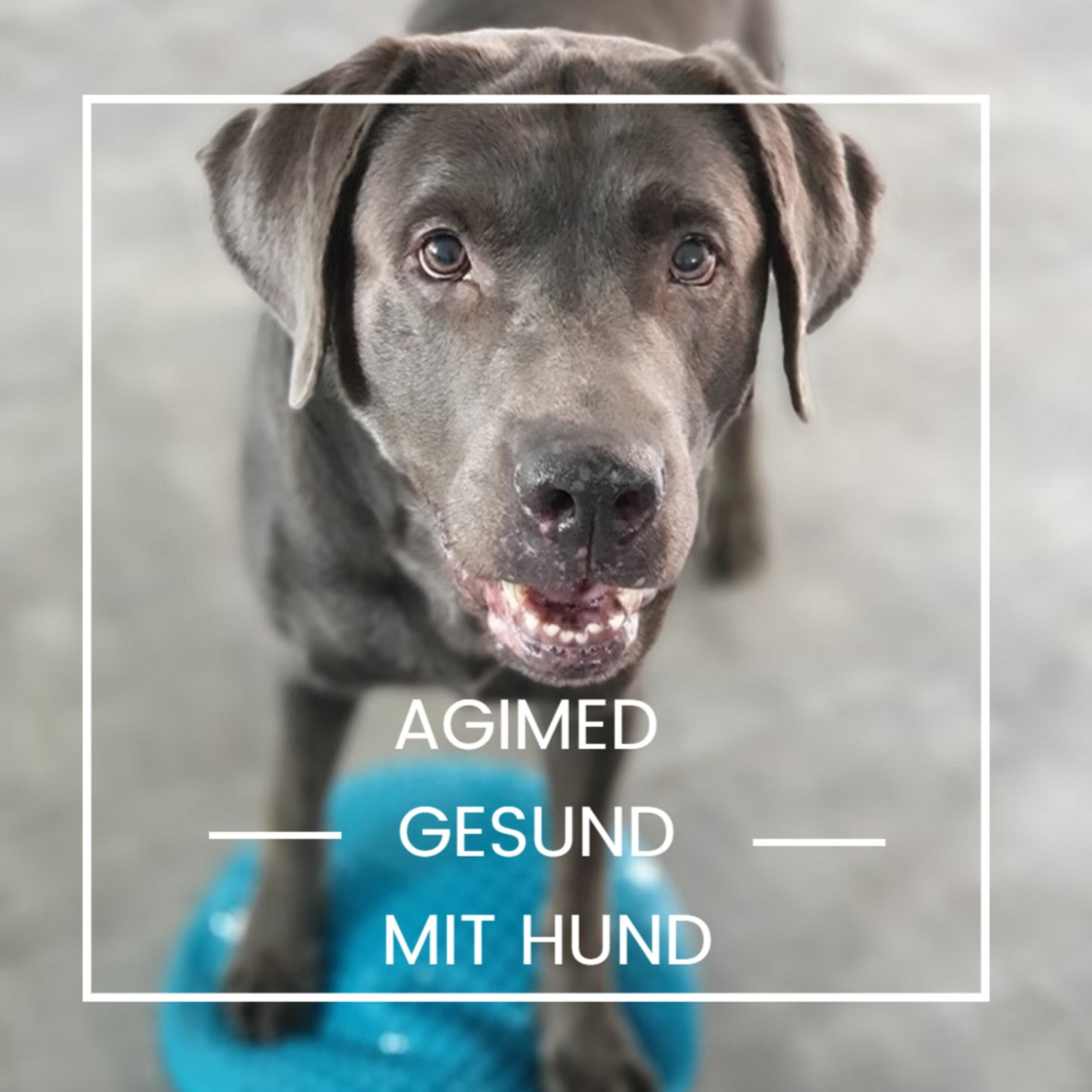AGIMED - Gesund mit Hund