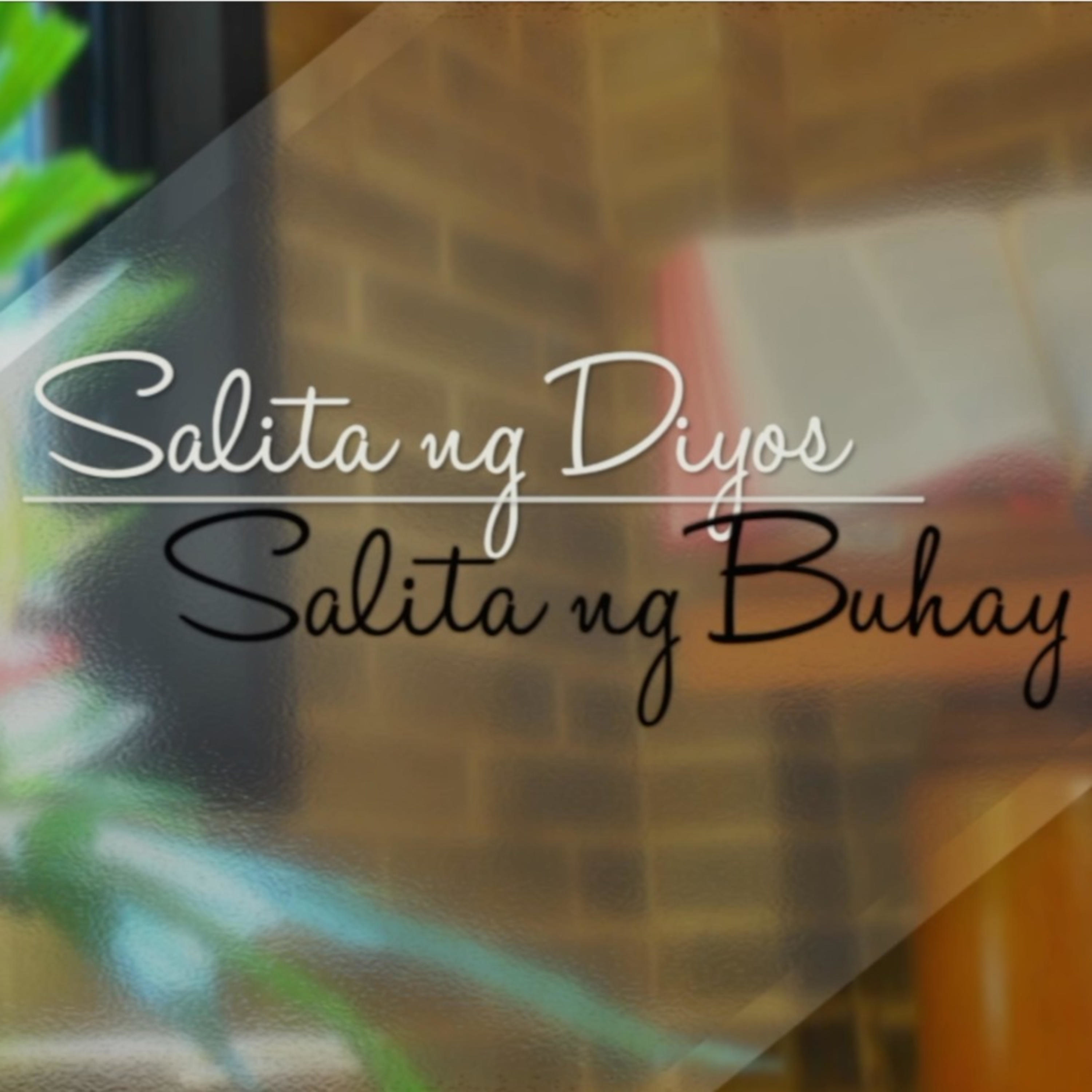 TV Maria\'s daily reflection