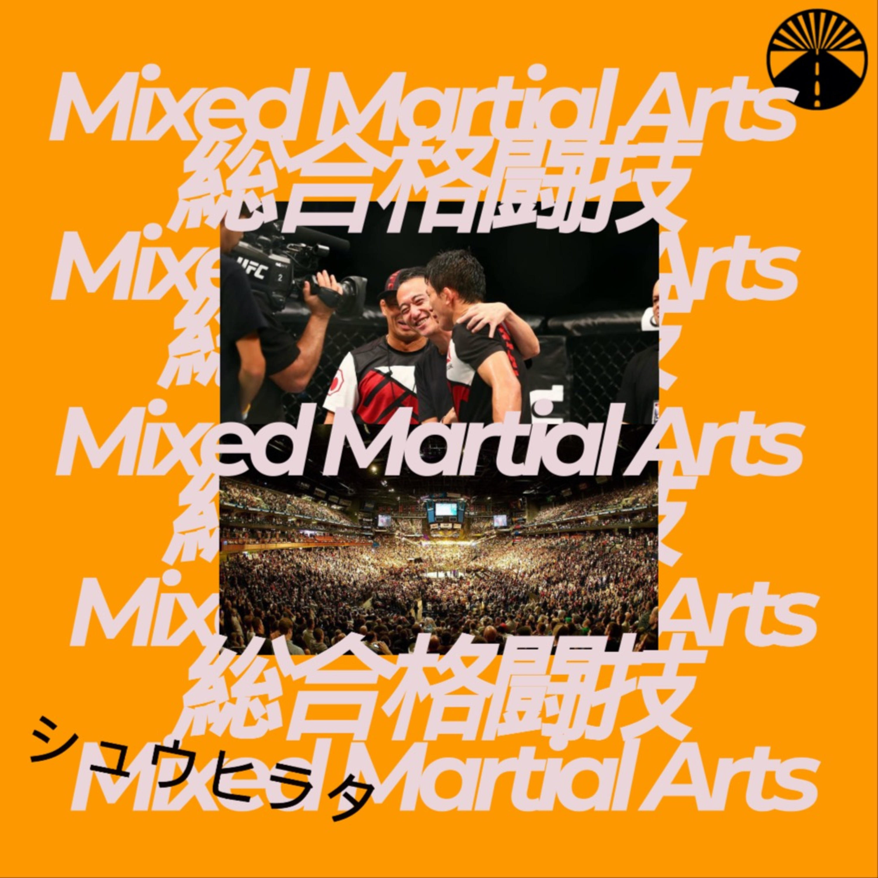 シュウヒラタ / 総合格闘技・MMAオンリー