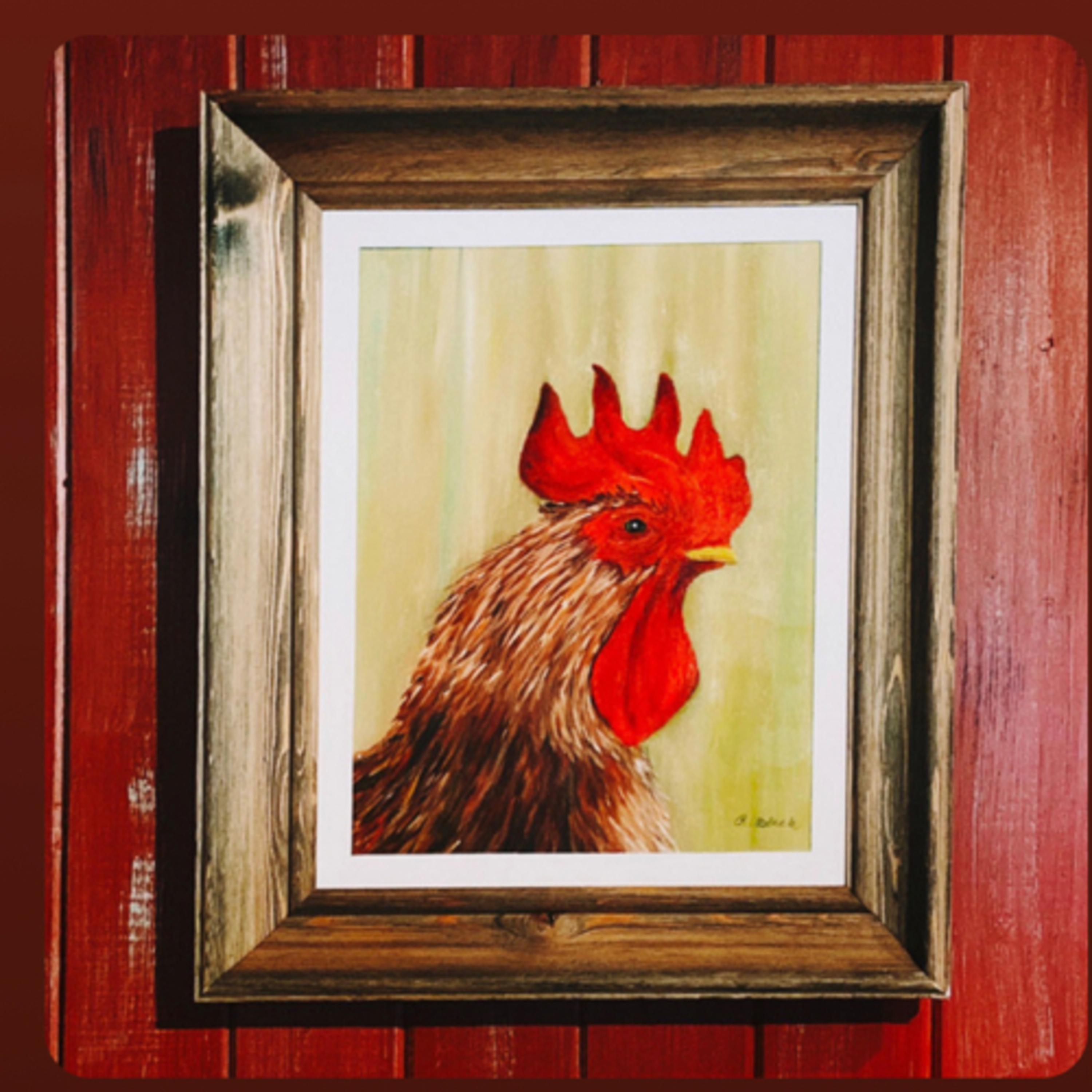 De Haan in het kippenhok