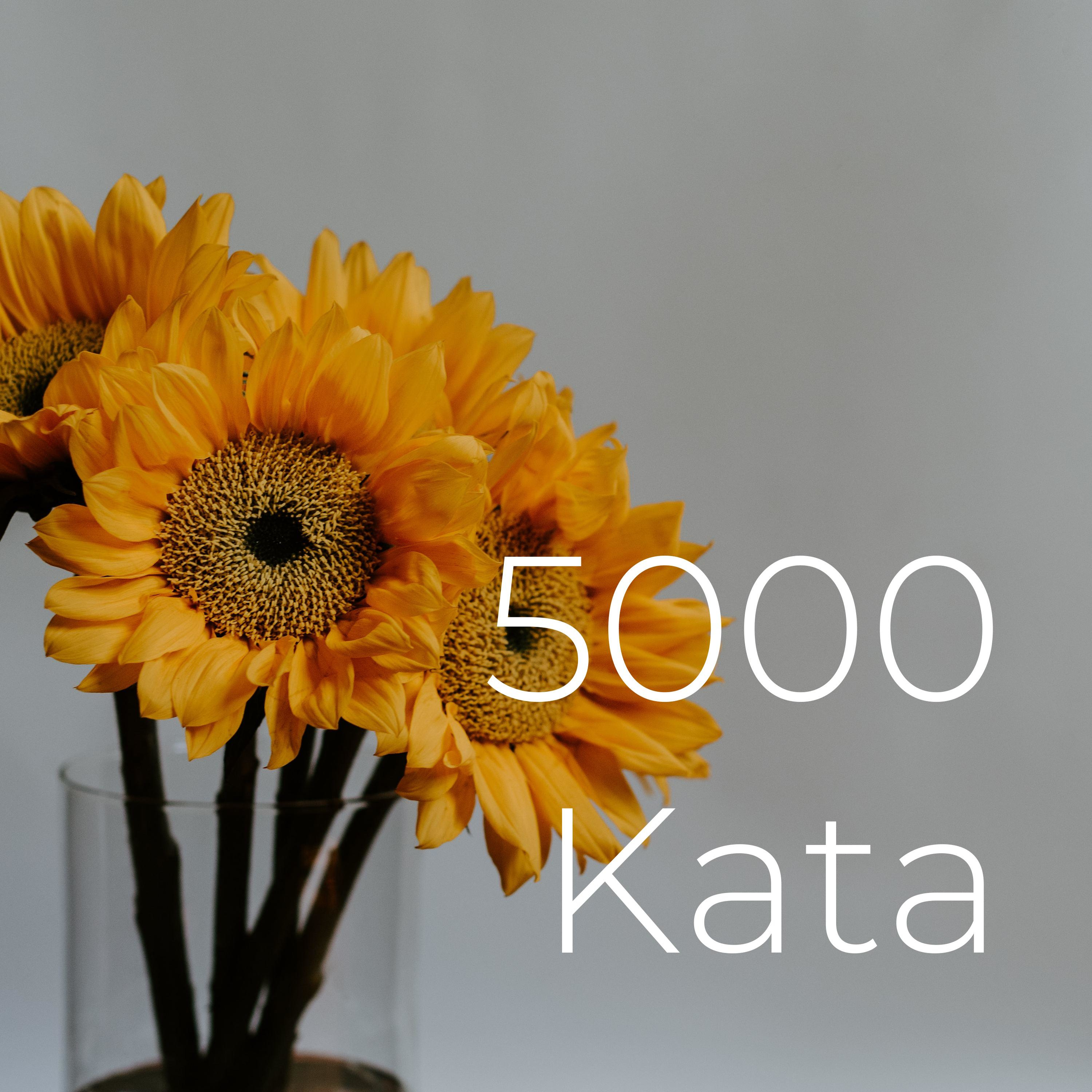 5000 Kata podcast artwork