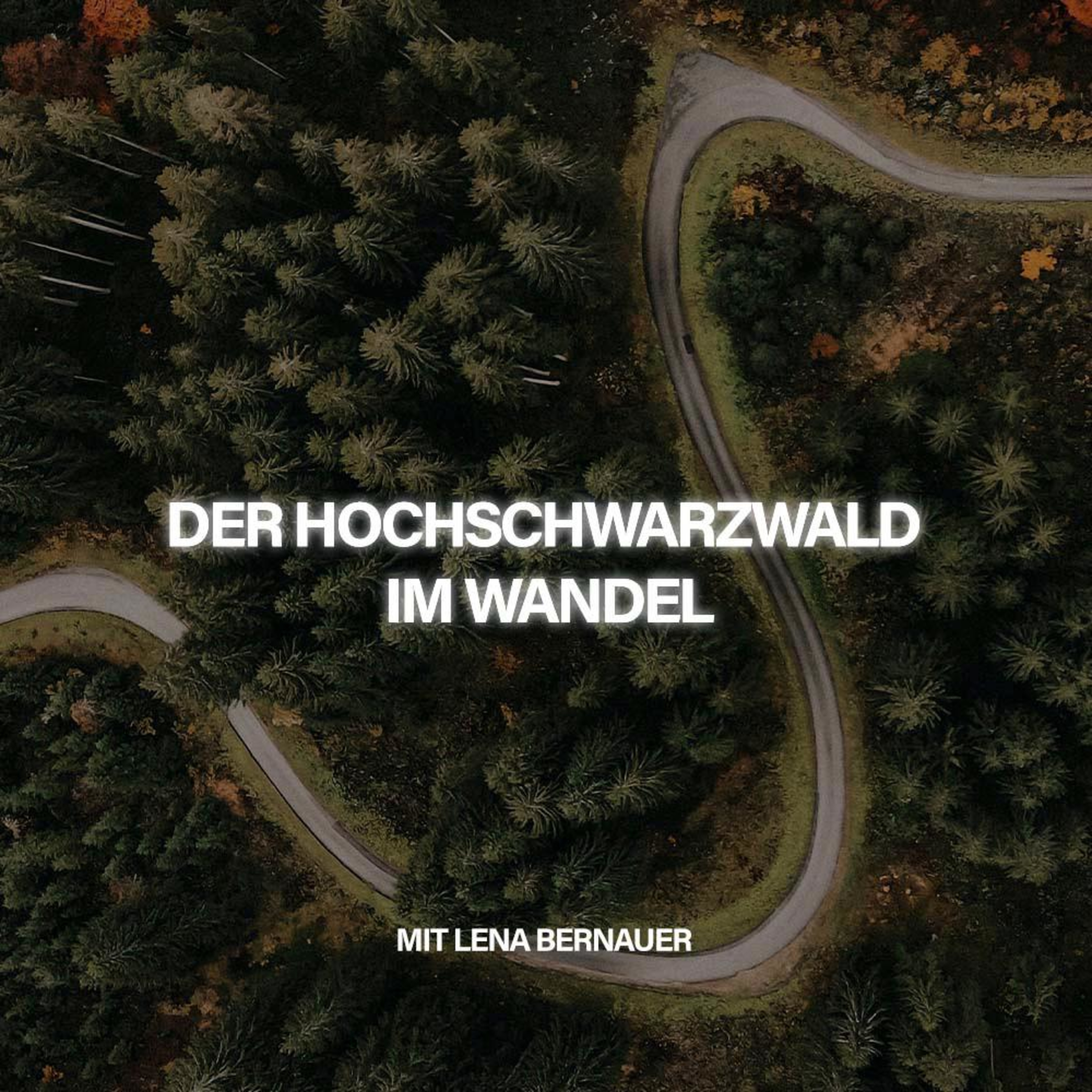 Der Hochschwarzwald im Wandel