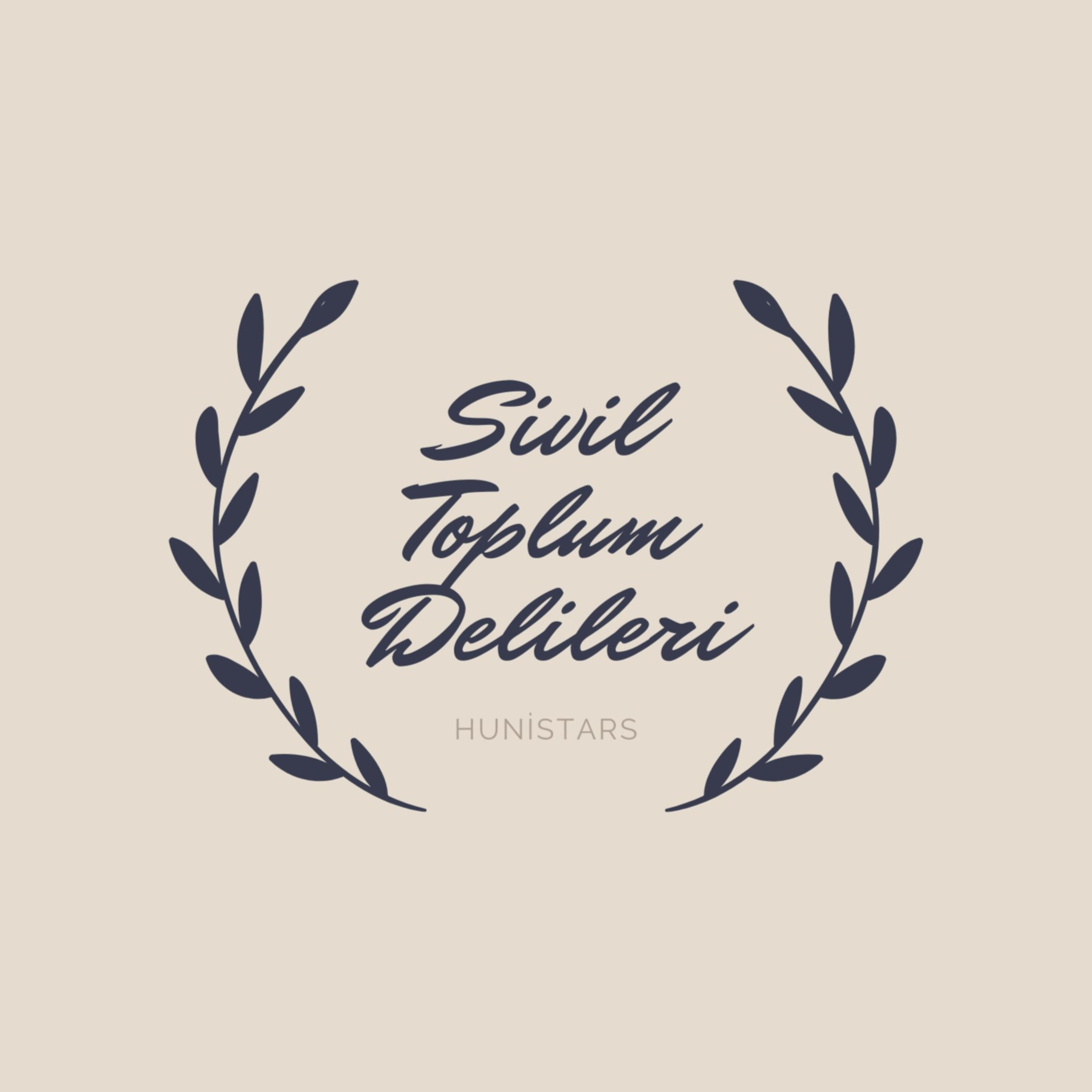 Sivil Toplum Delileri cover art