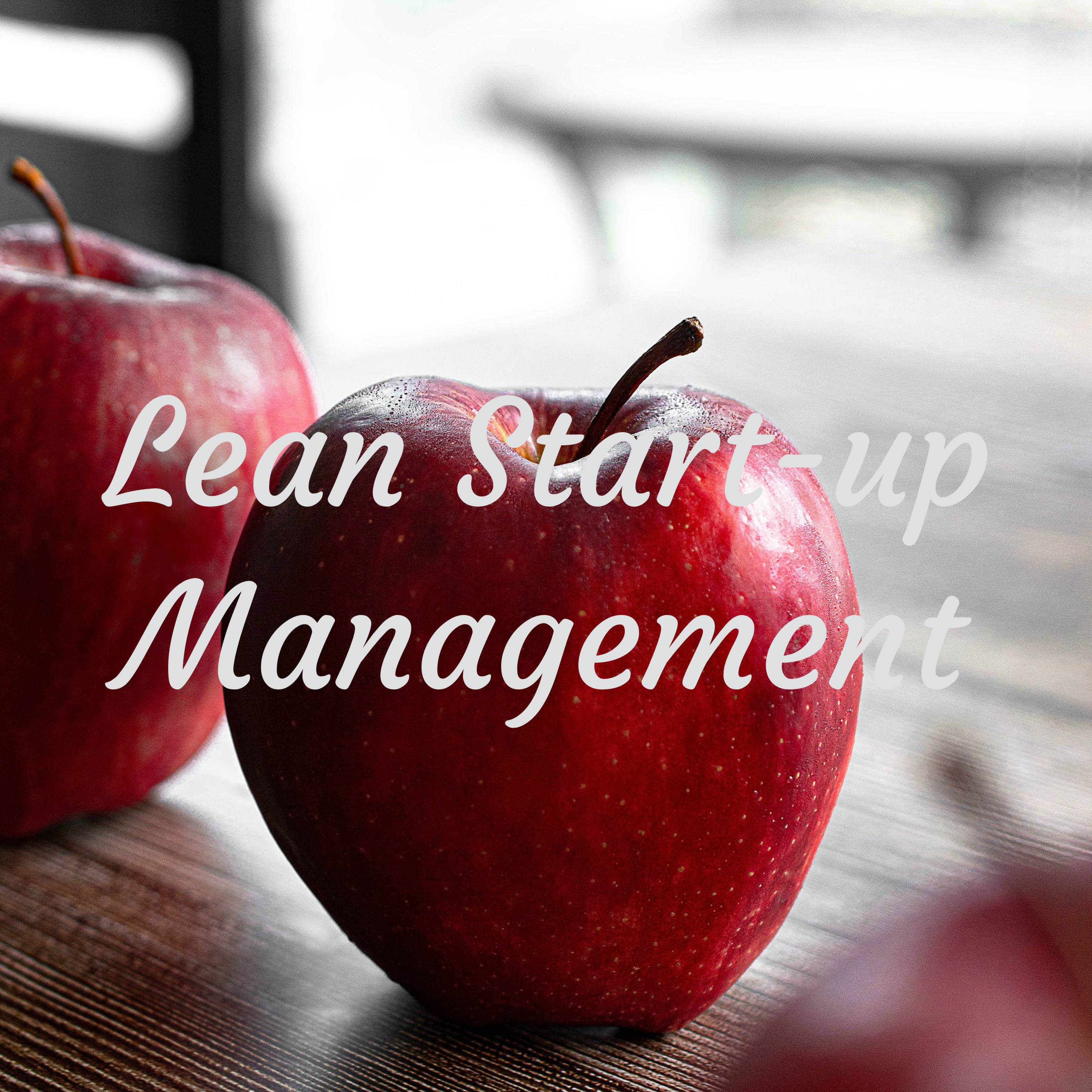 Lean Start-up Management