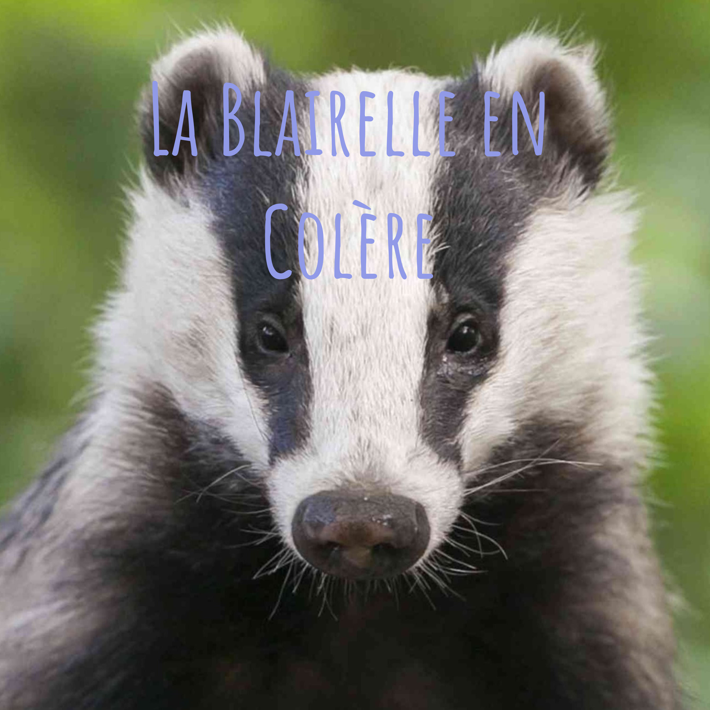 La Blairelle en Colère