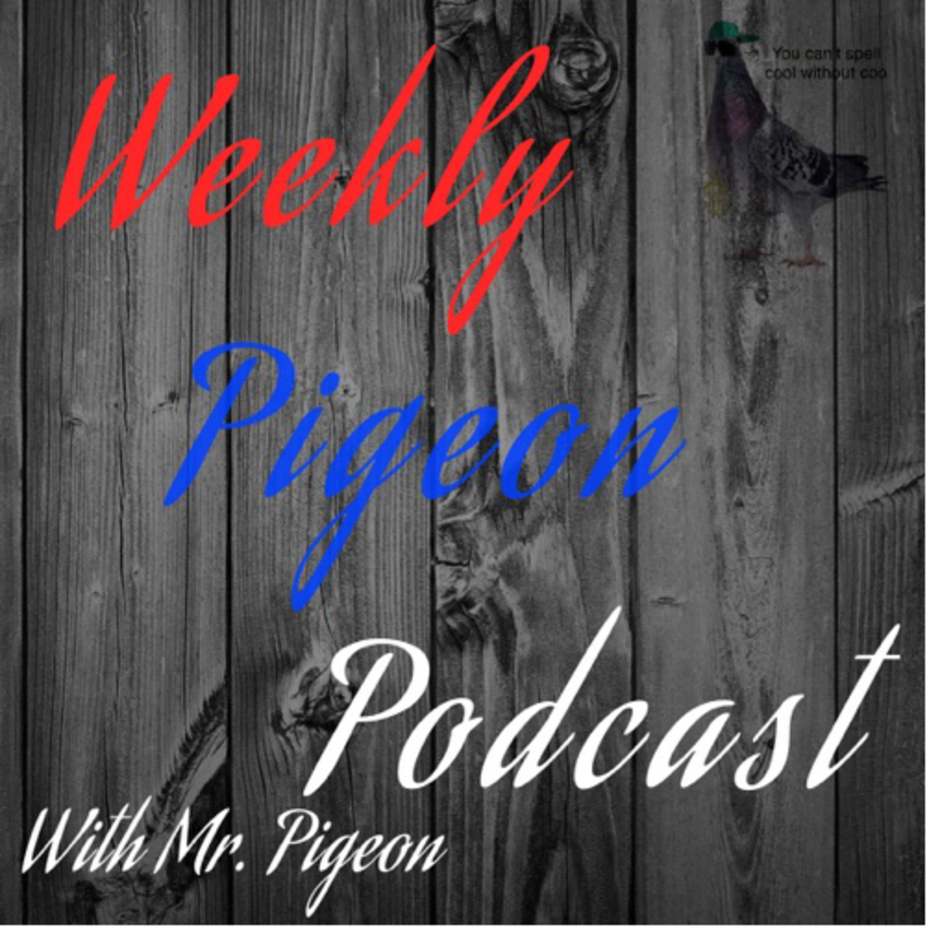 The Weekly Pigeon Podcast 