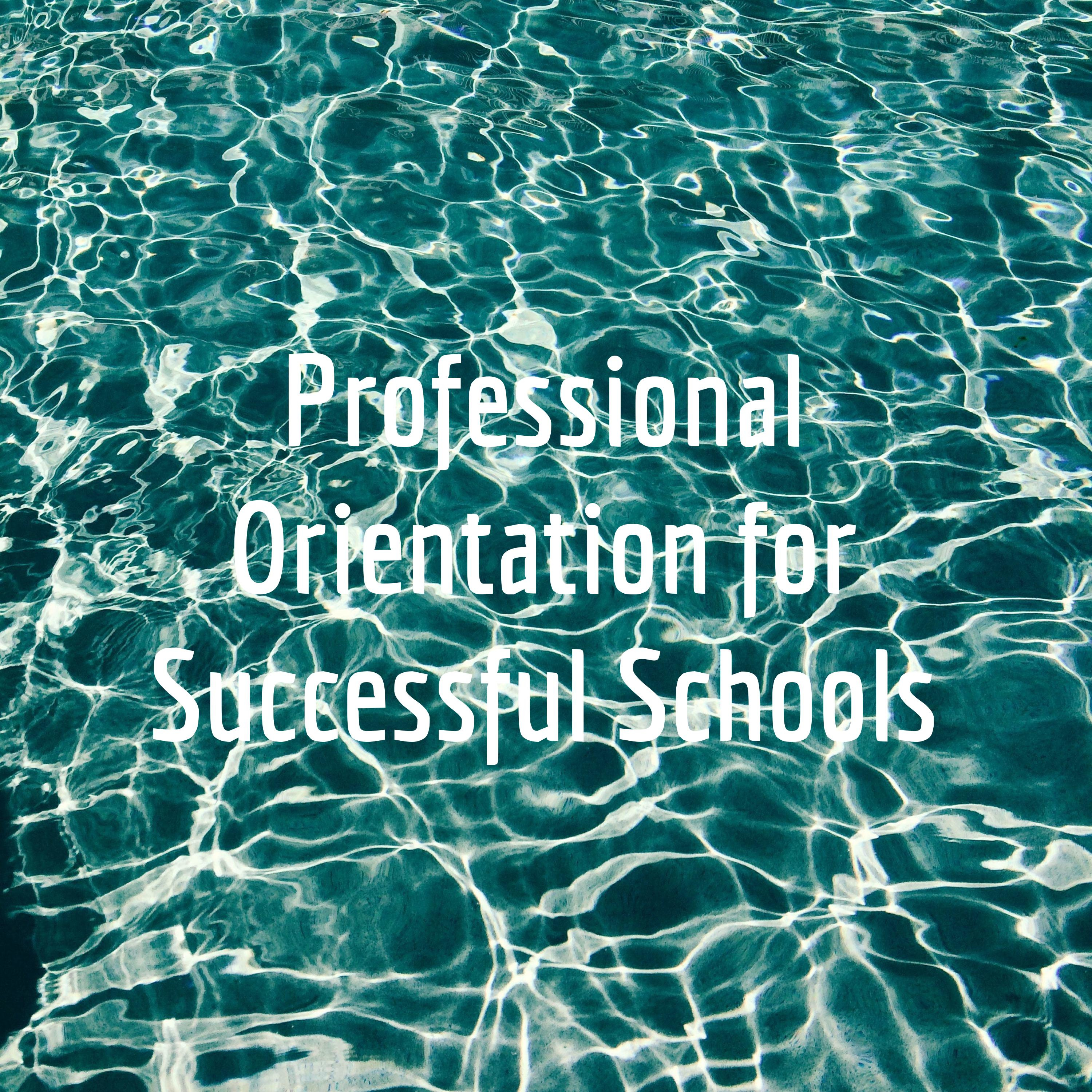 Professional Orientation for Successful Schools