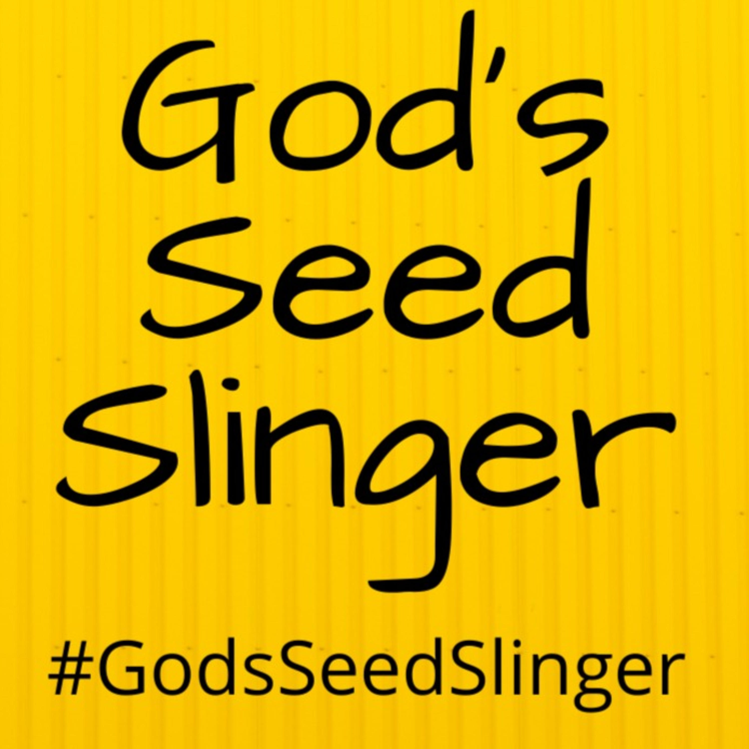 God's Seed Slinger cover art