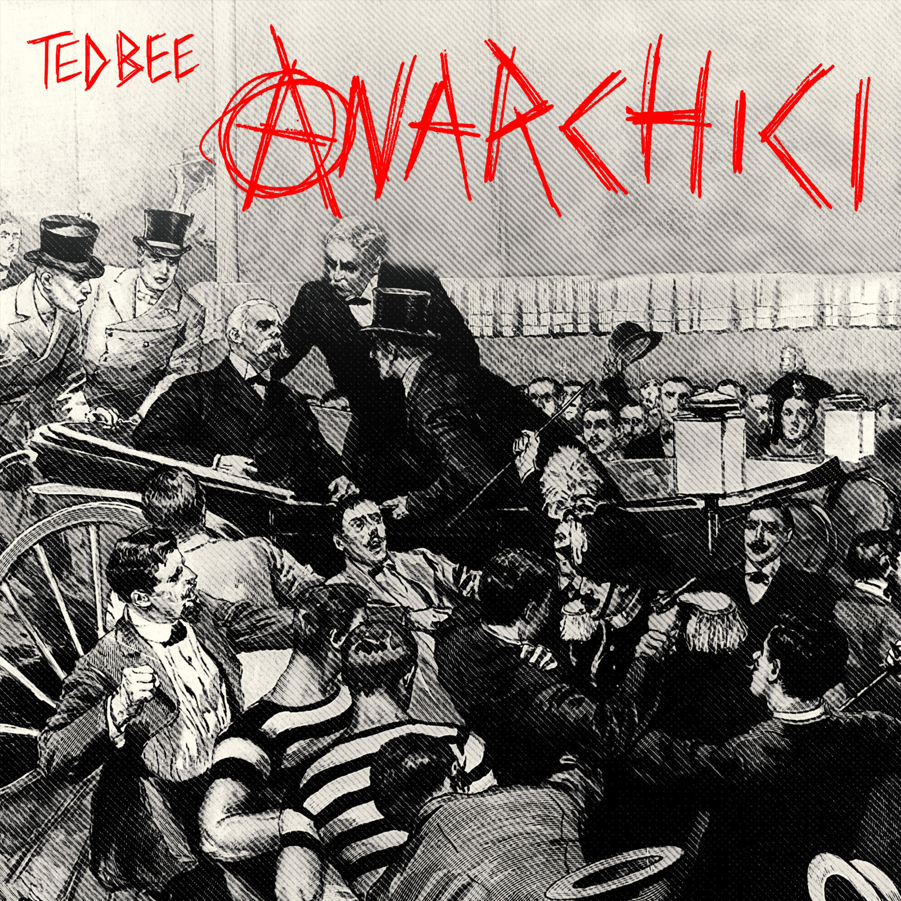 A Scuola Con Ted Bee