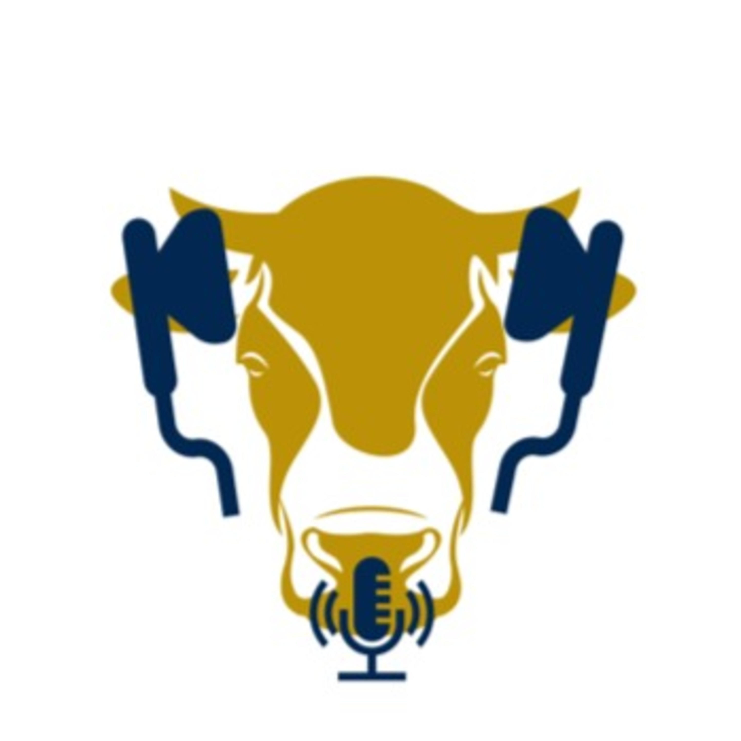 CattleCal Podcast podcast artwork