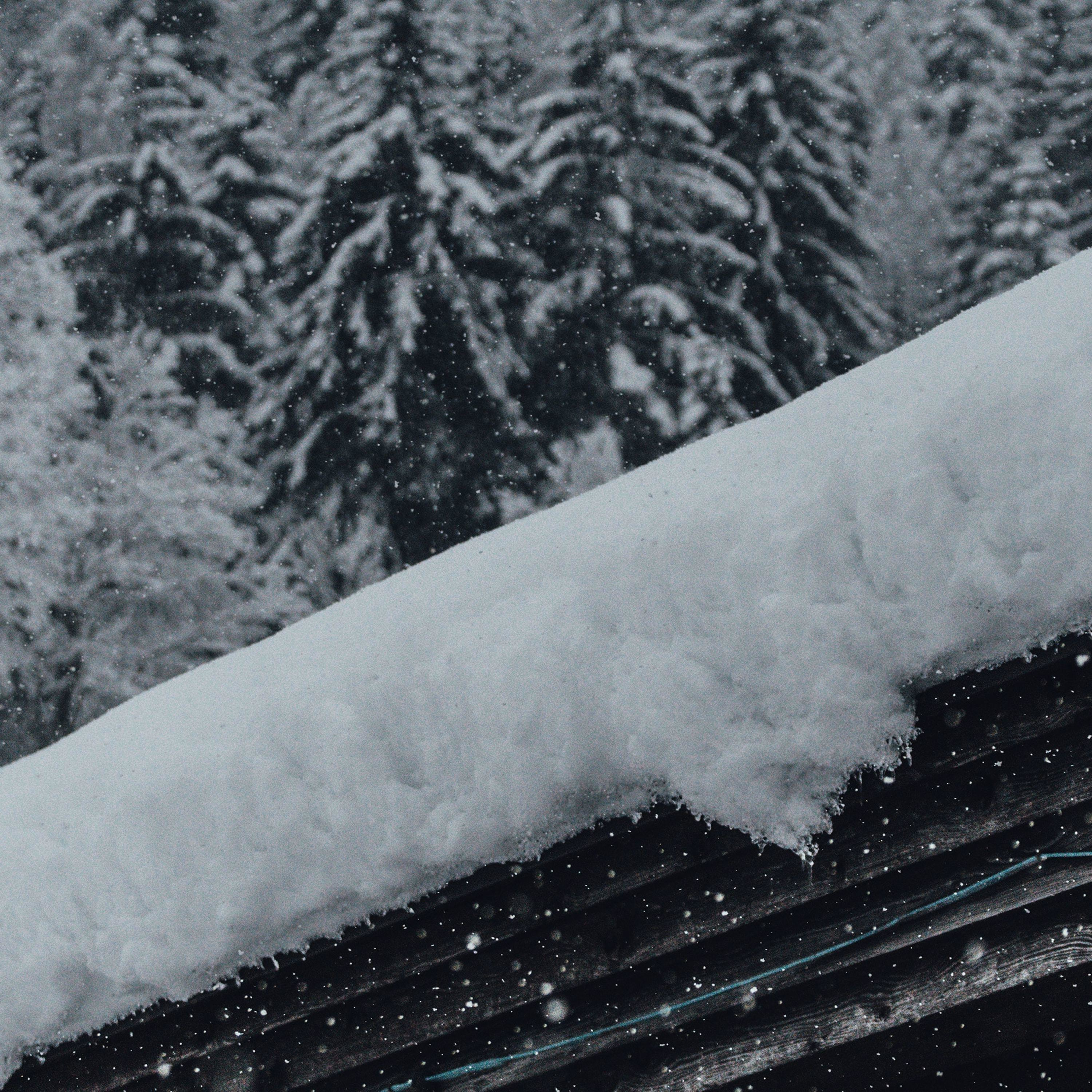 SecondTimeAroundHomestead