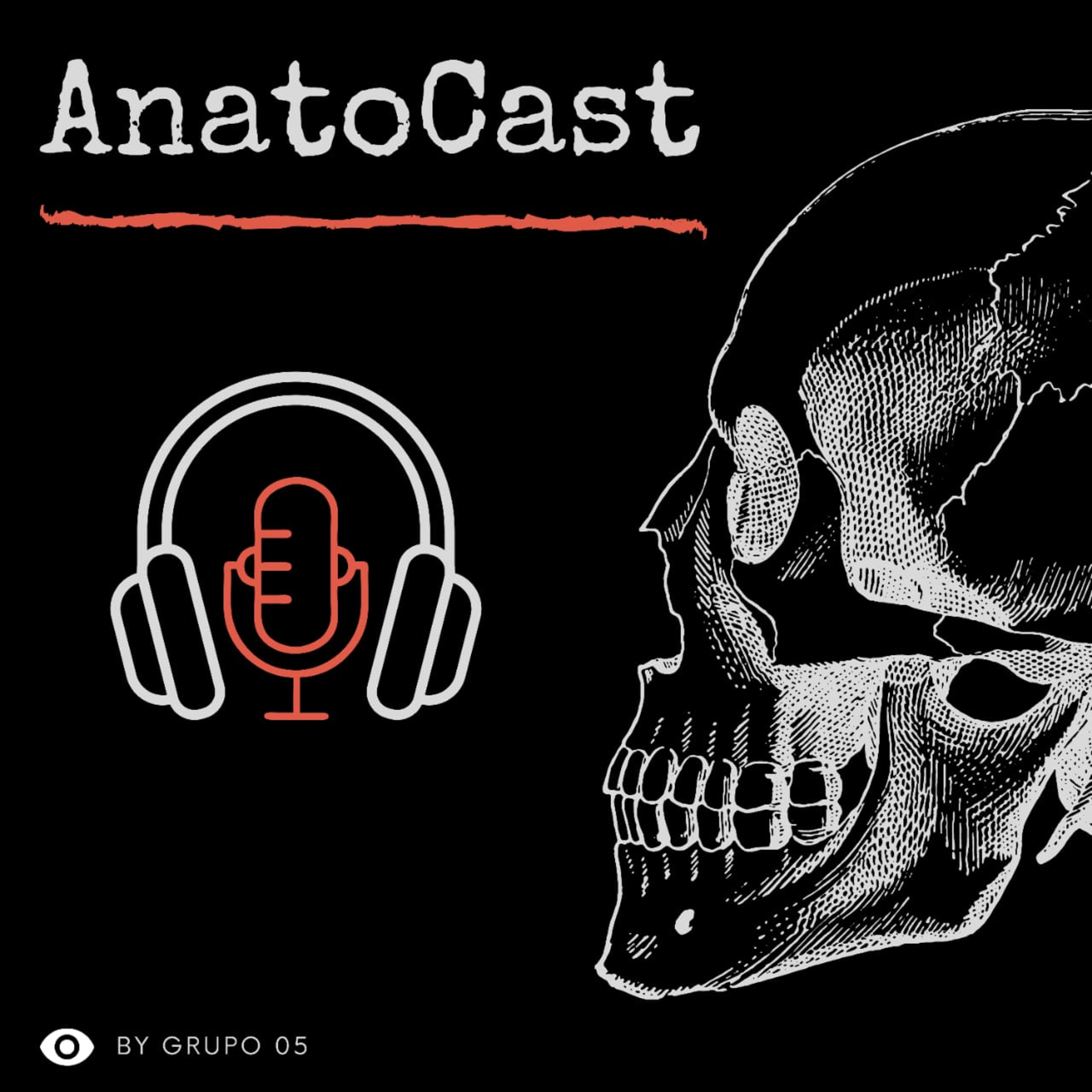 AnatoCast Grupo 5