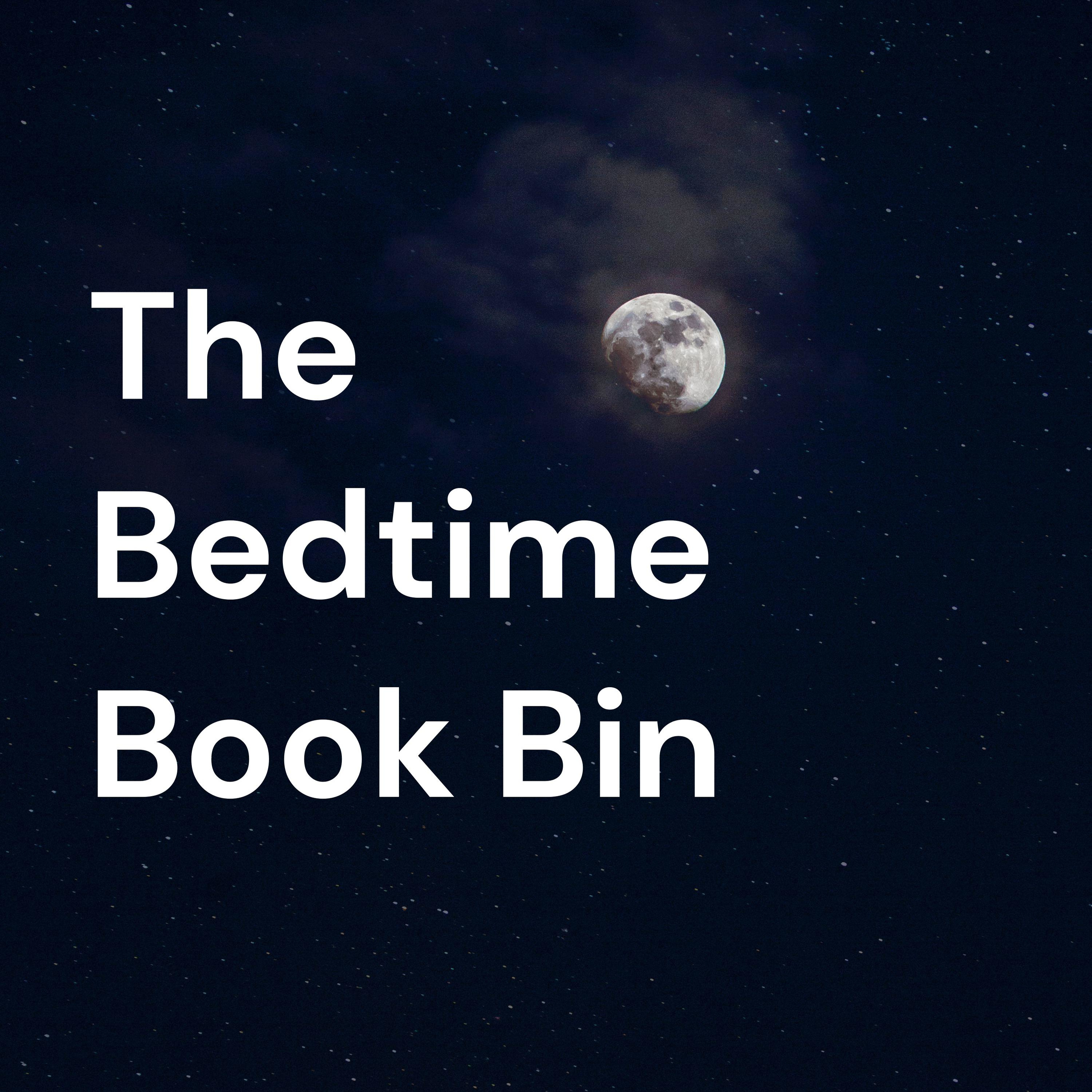 The Bedtime Book Bin