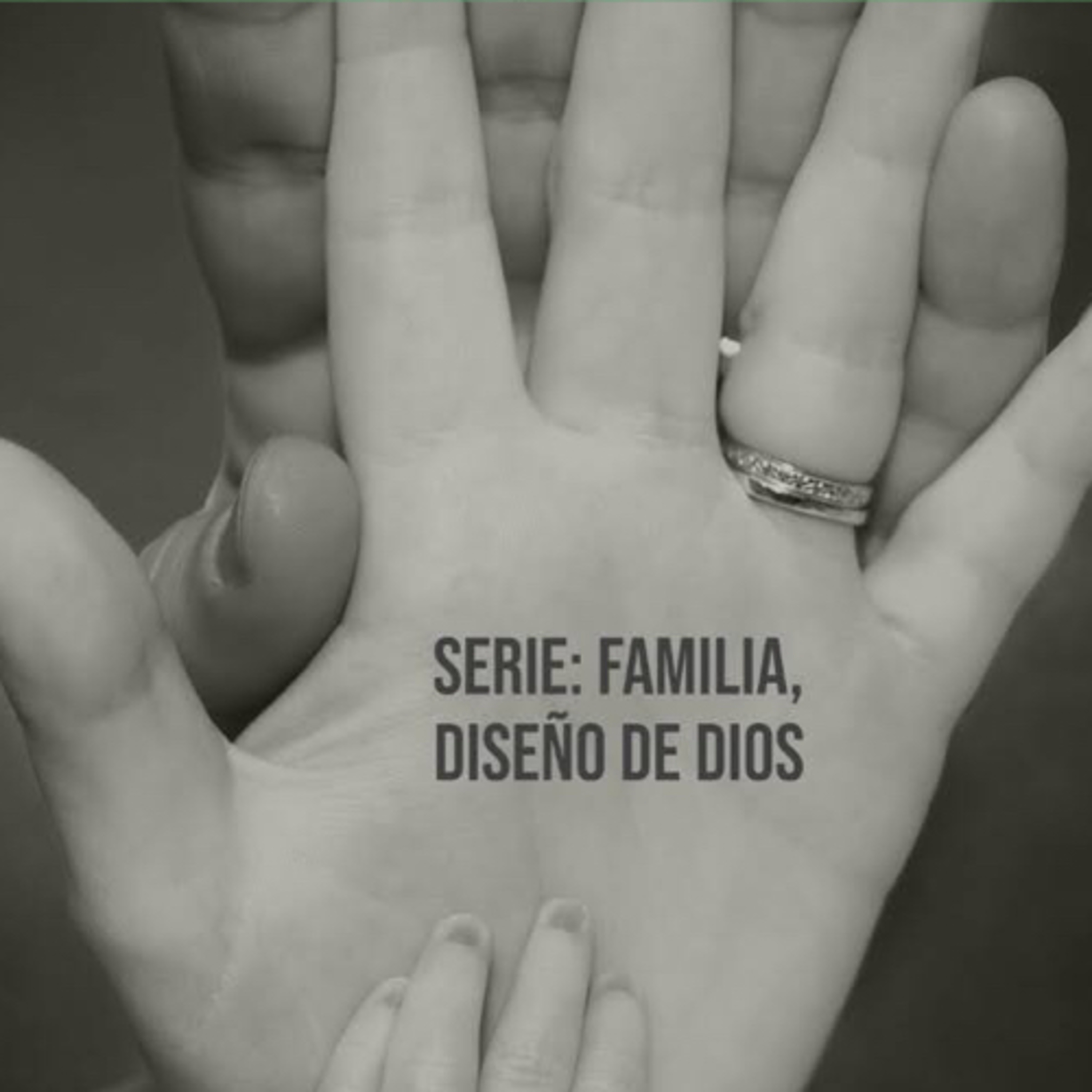 Serie Familia, Diseño de Dios