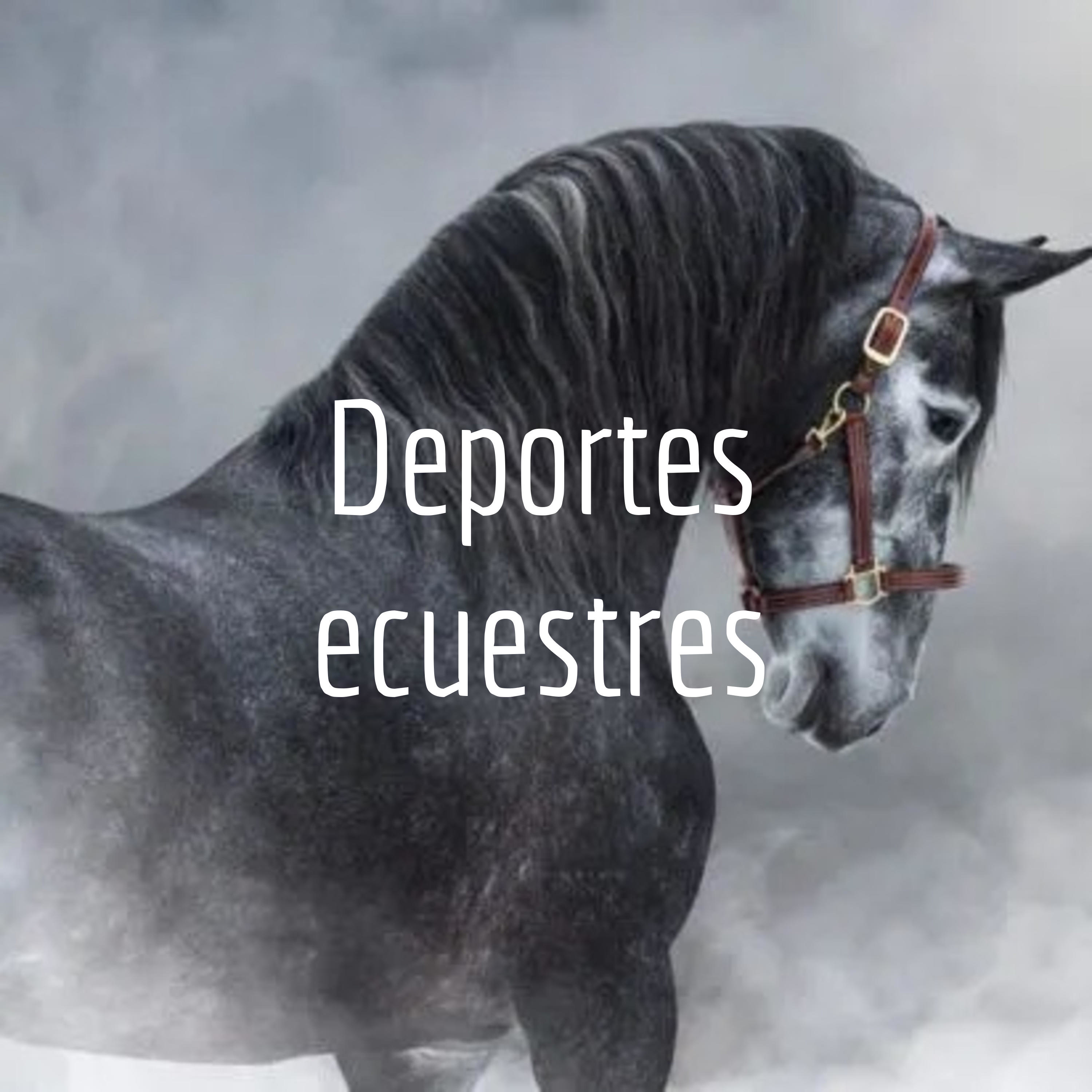 Deportes ecuestres