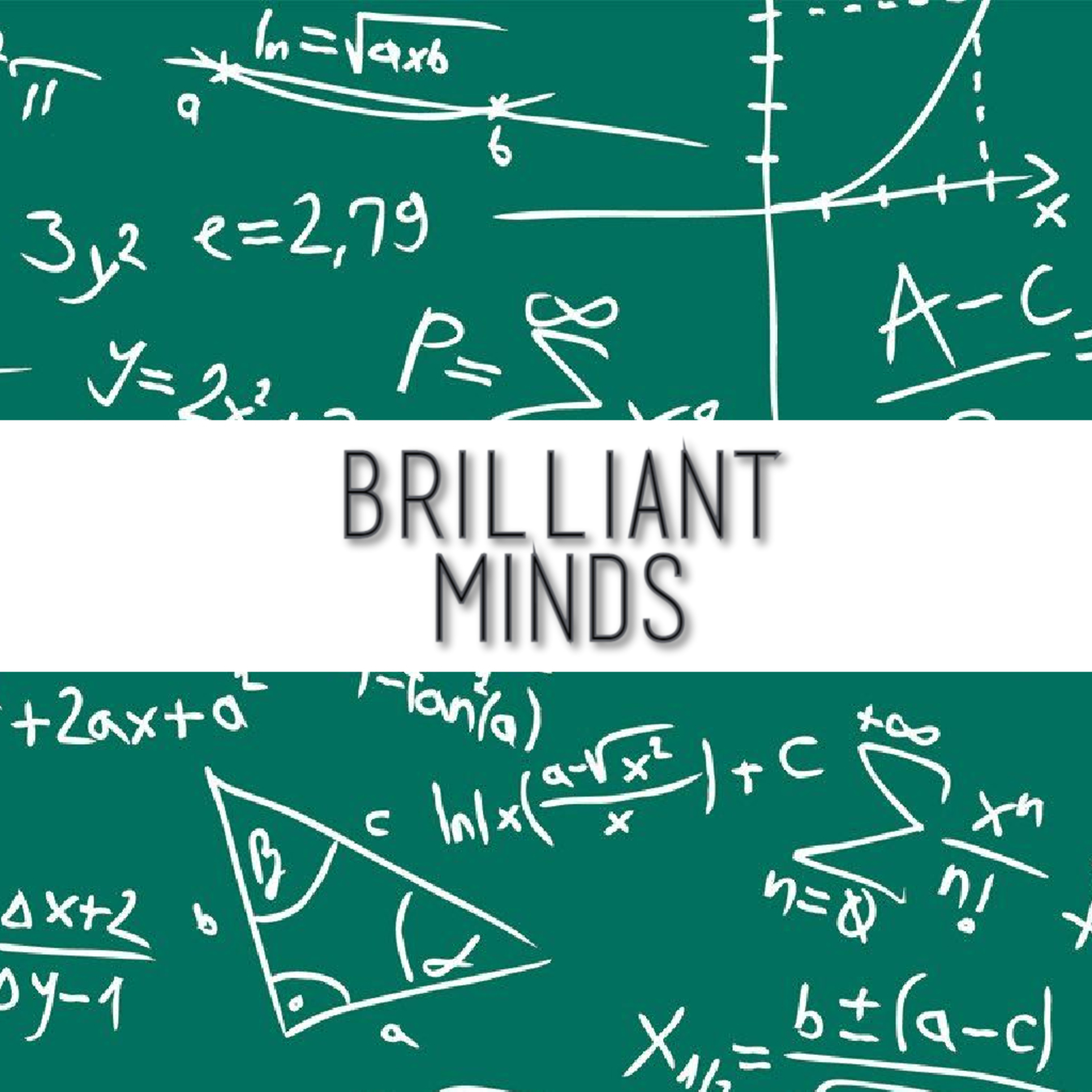 Brilliant Minds: People Who Contributed To Mathematics