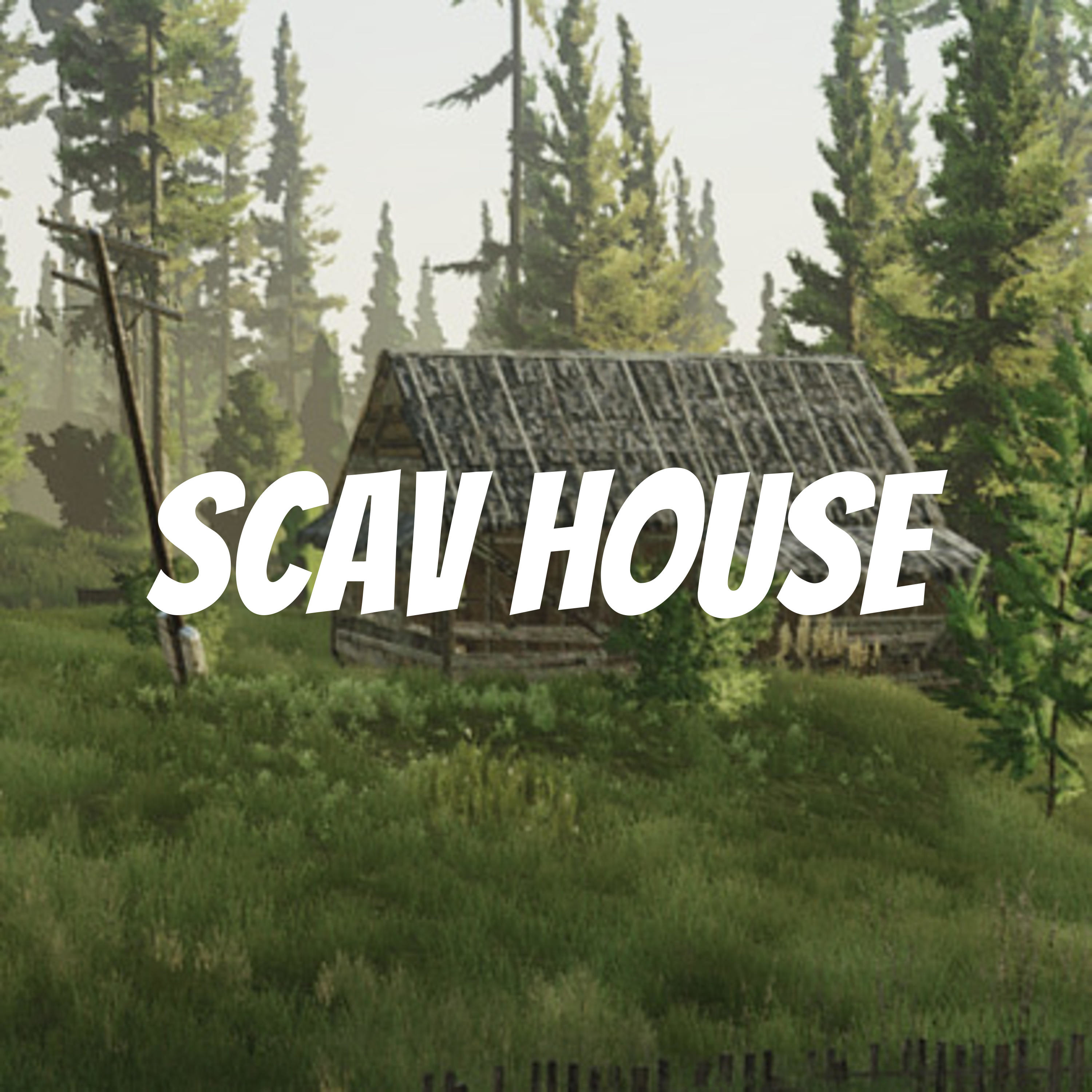 Scav House cover art
